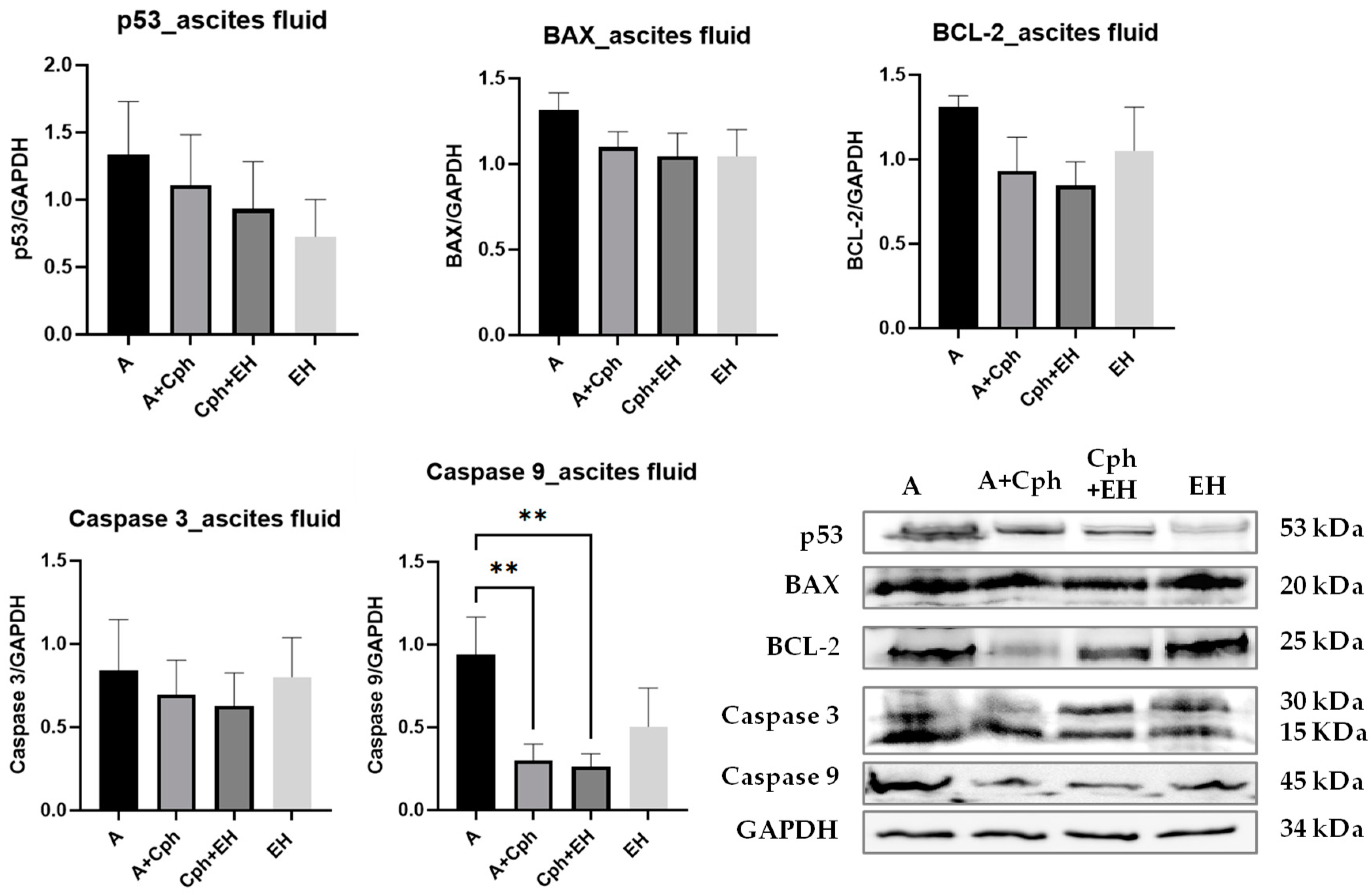 Plants 13 00198 g013