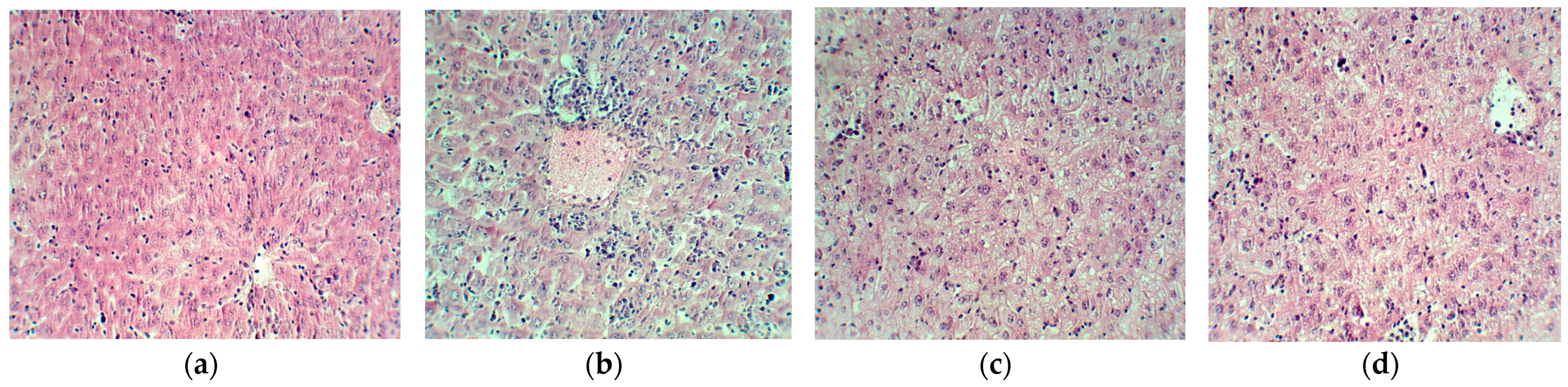 Plants 13 00198 g014