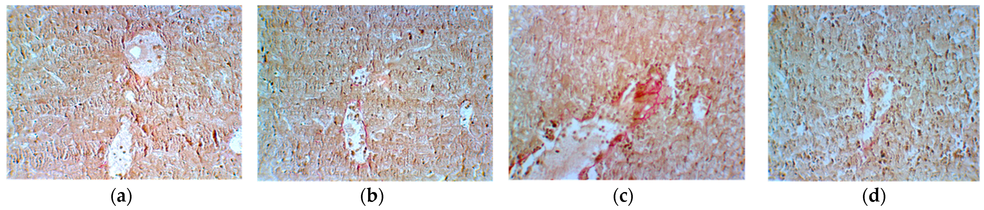 Plants 13 00198 g016