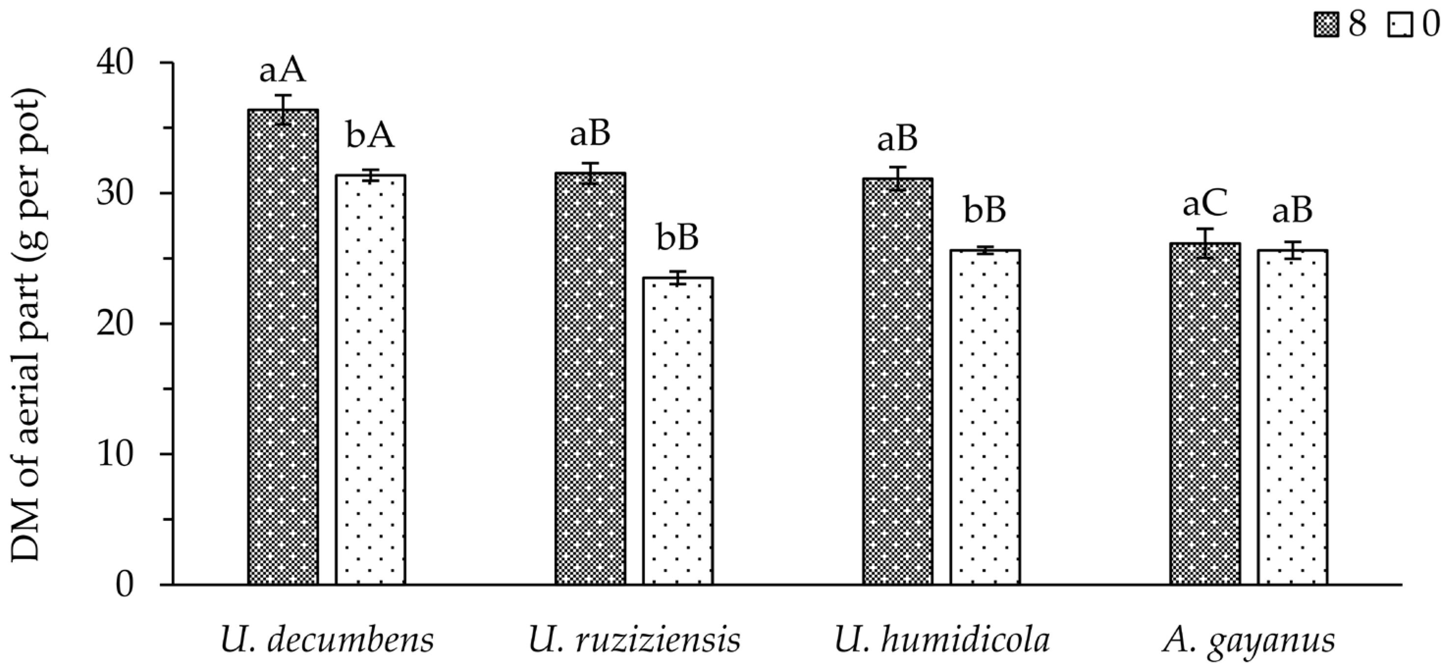 Plants 13 00199 g001