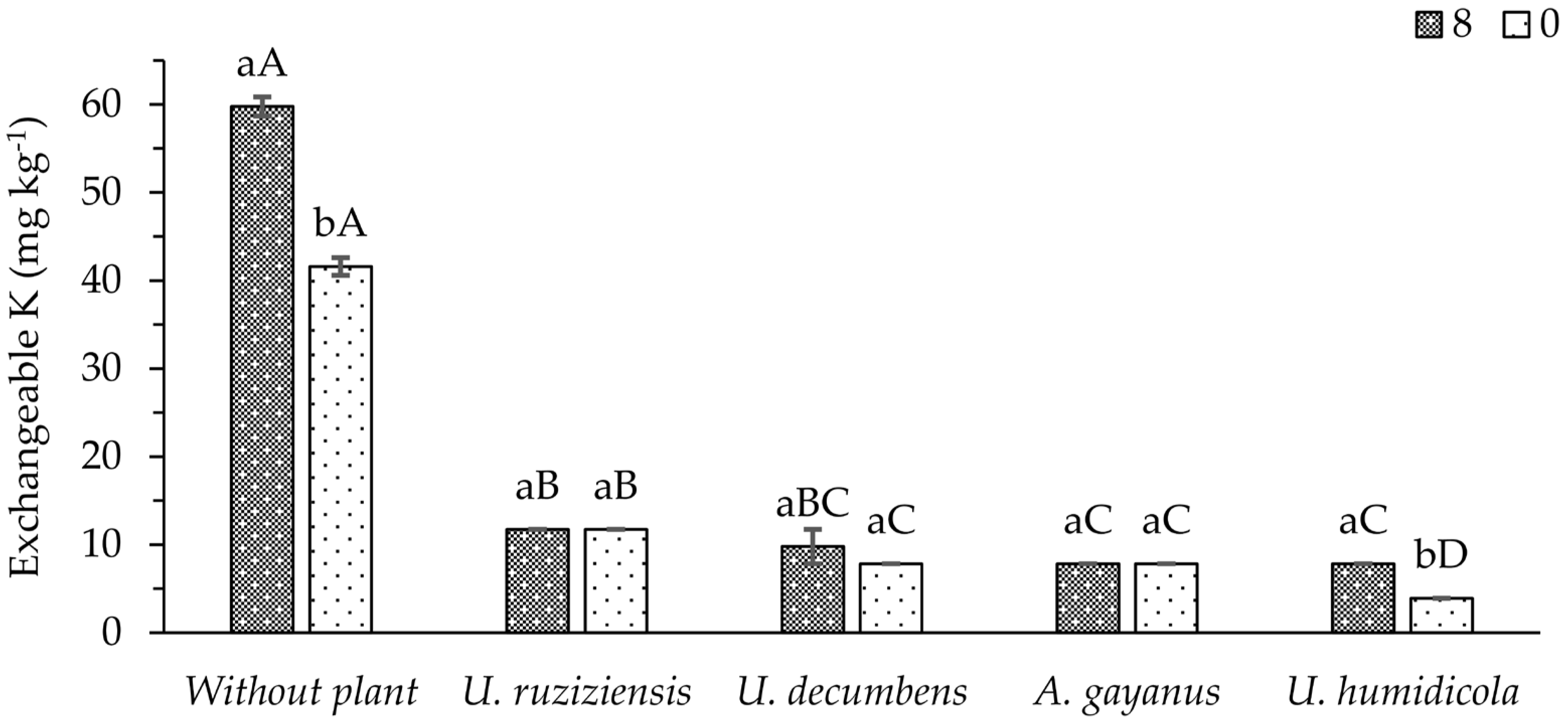 Plants 13 00199 g003