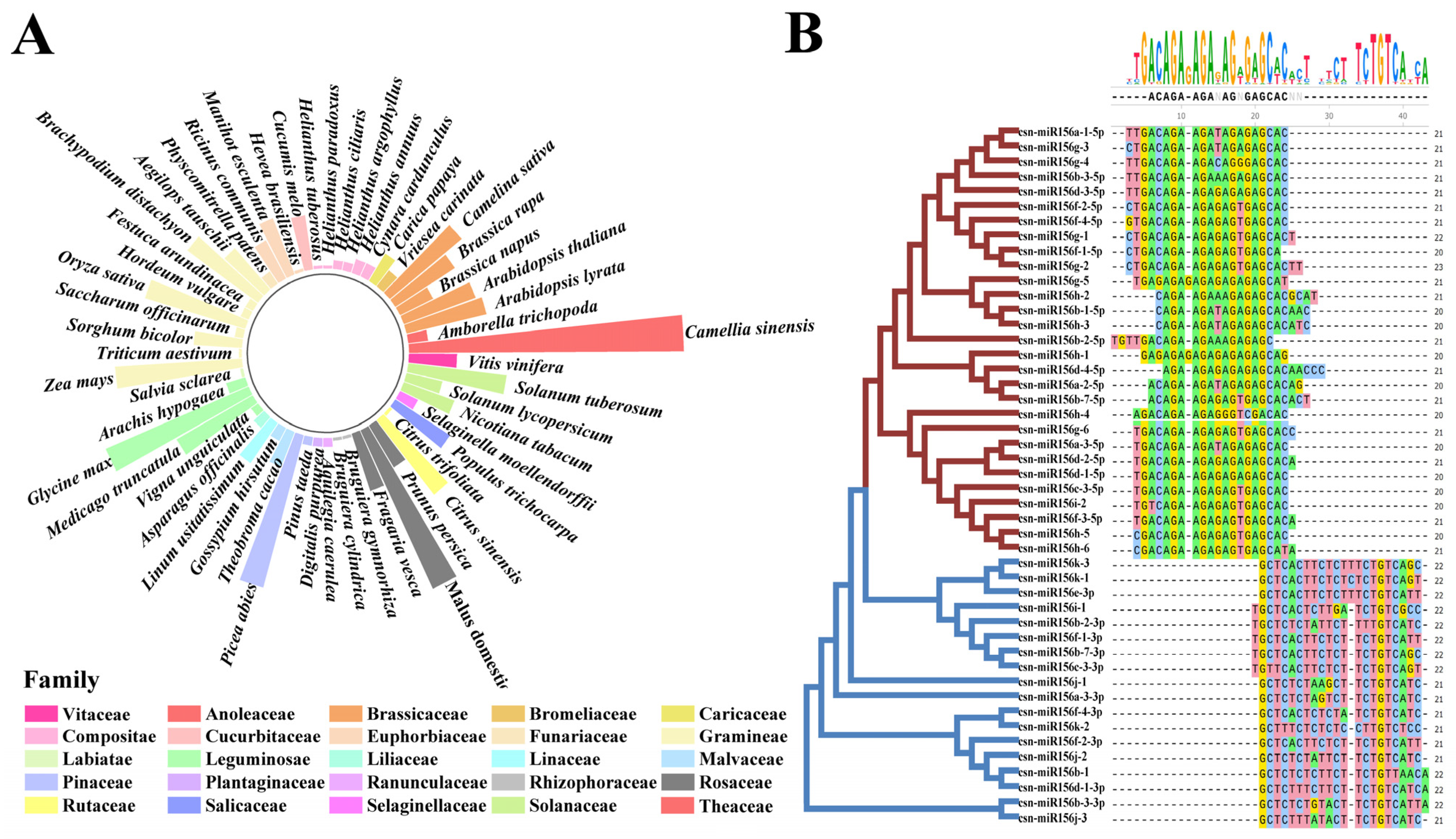 Plants 13 00201 g001
