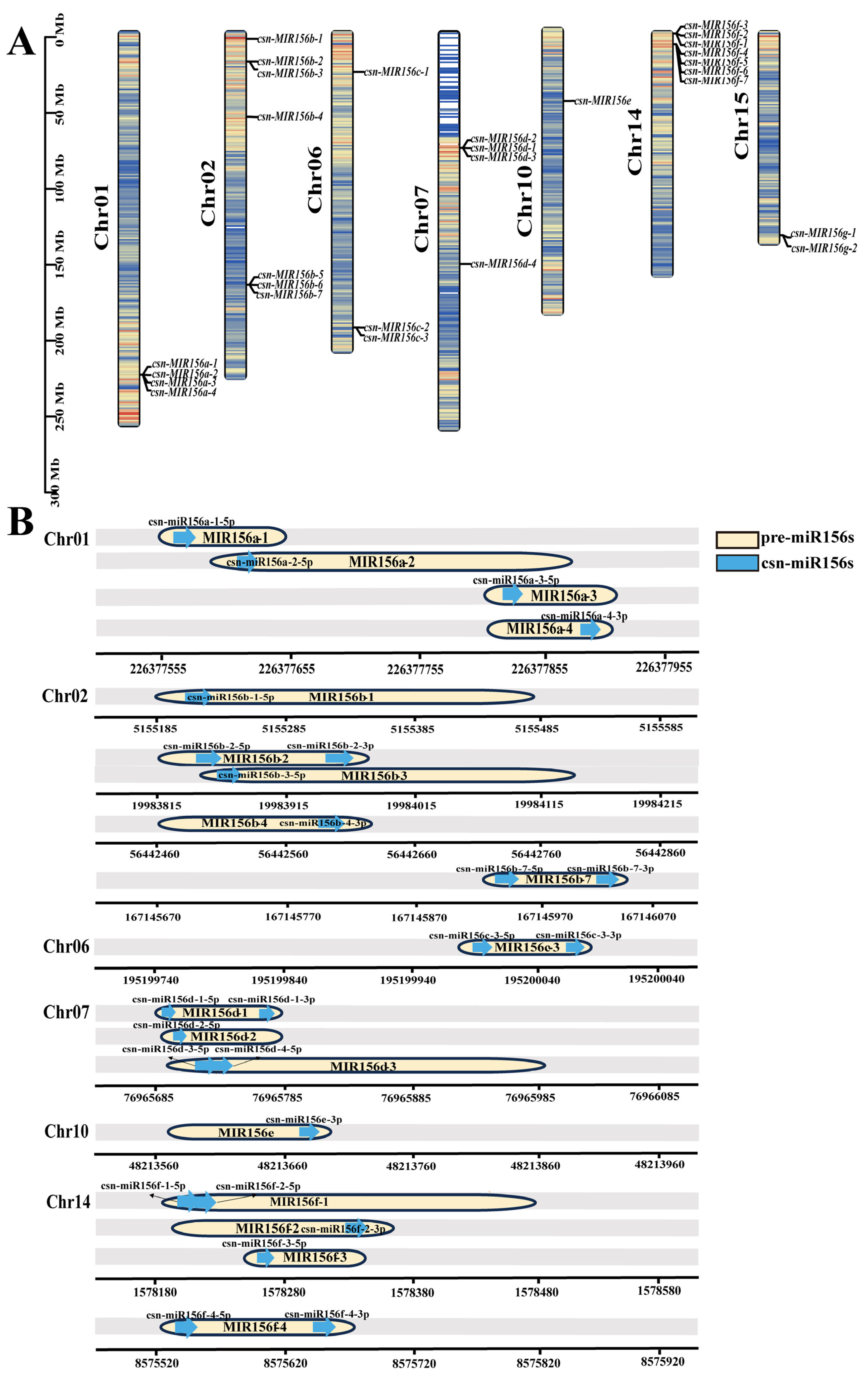 Plants 13 00201 g002