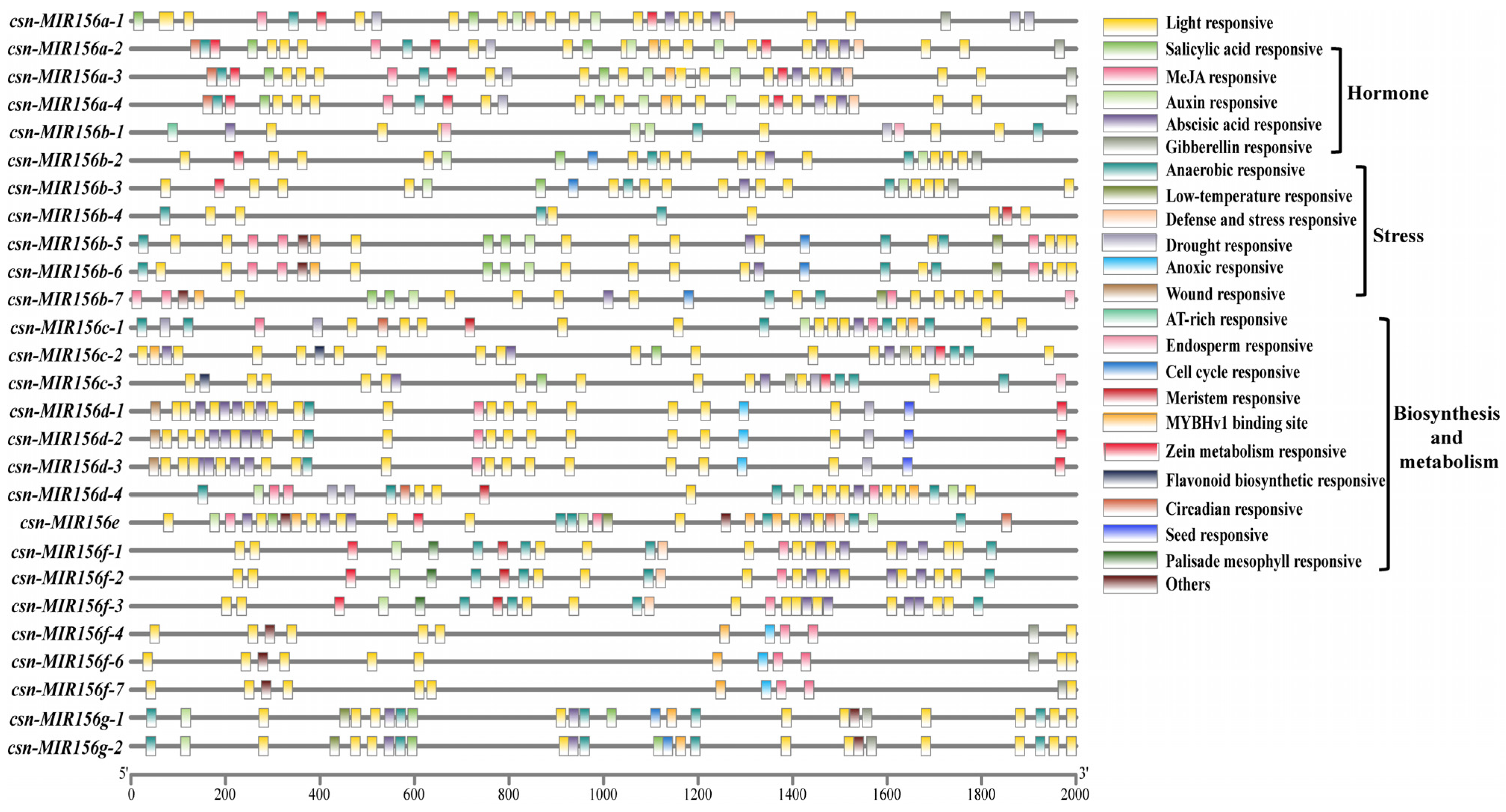 Plants 13 00201 g004