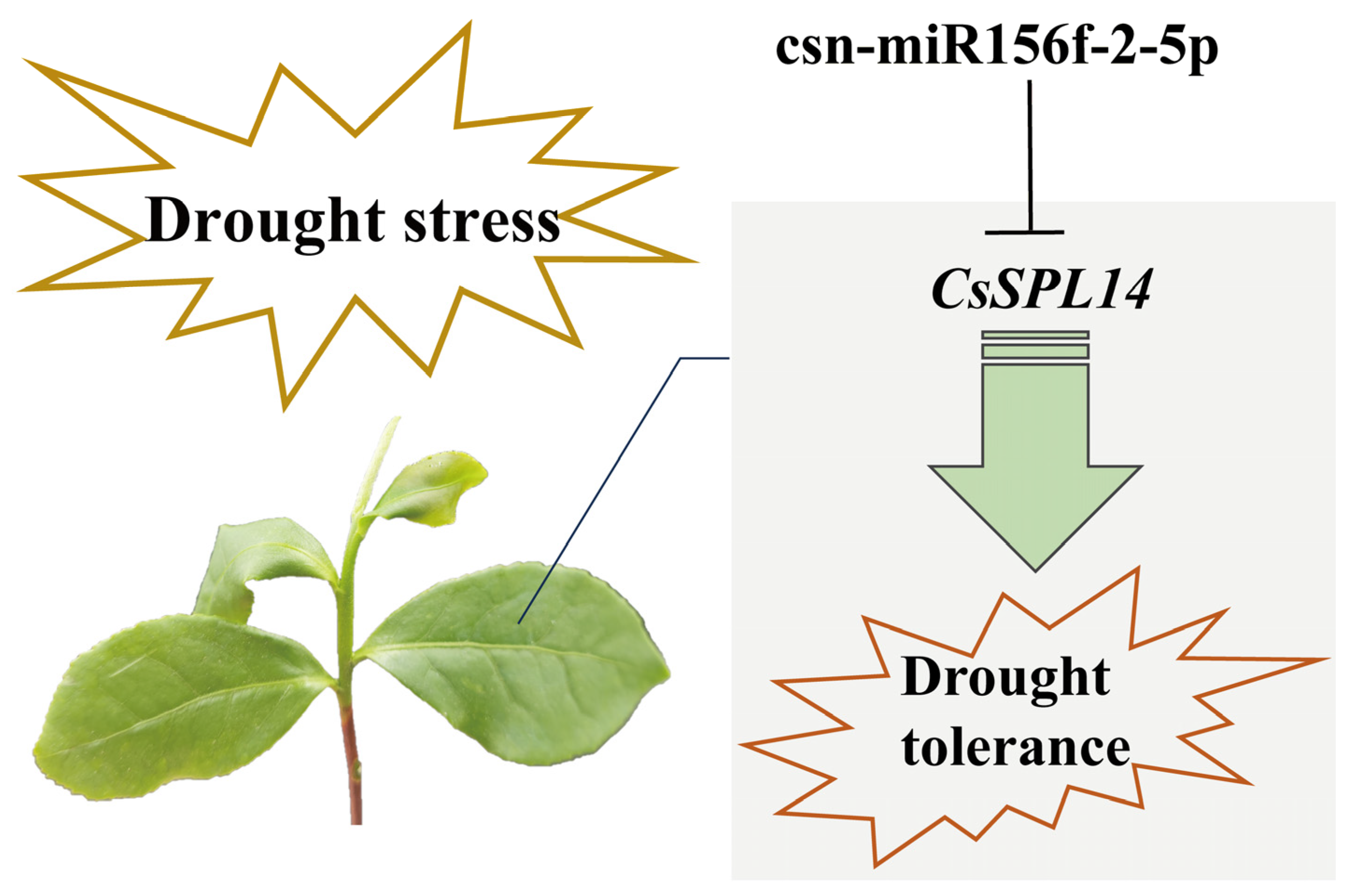 Plants 13 00201 g009