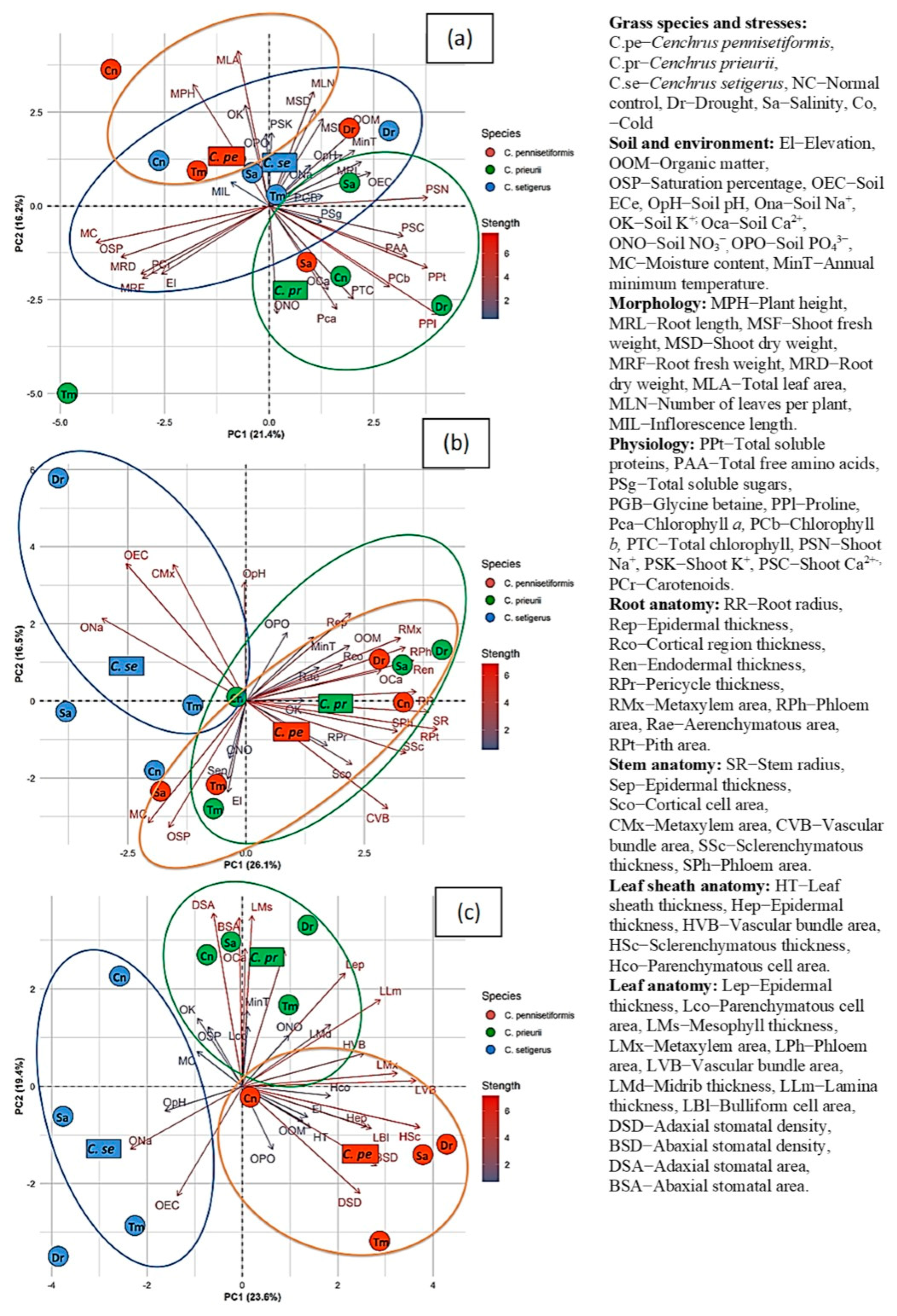 Plants 13 00203 g009