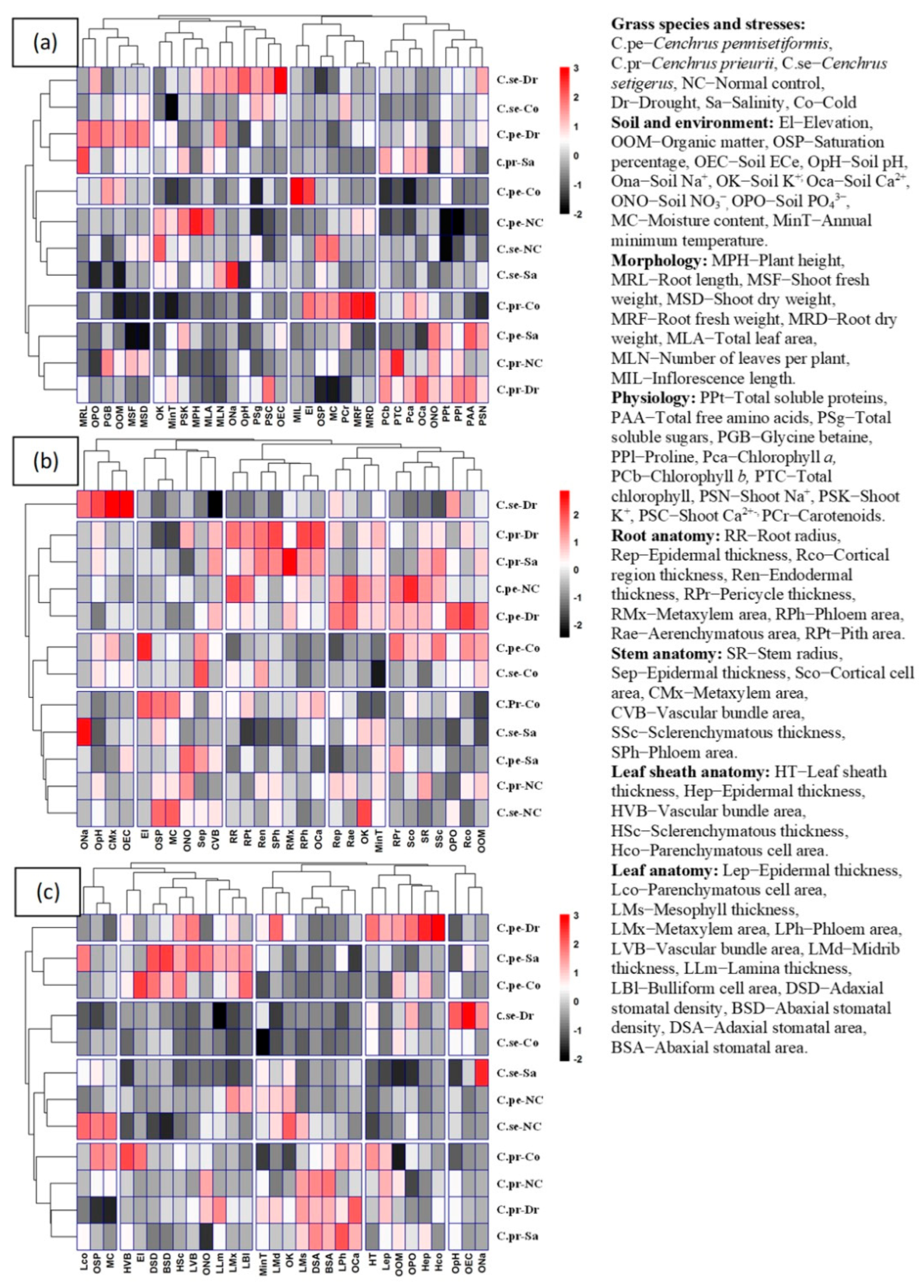 Plants 13 00203 g010