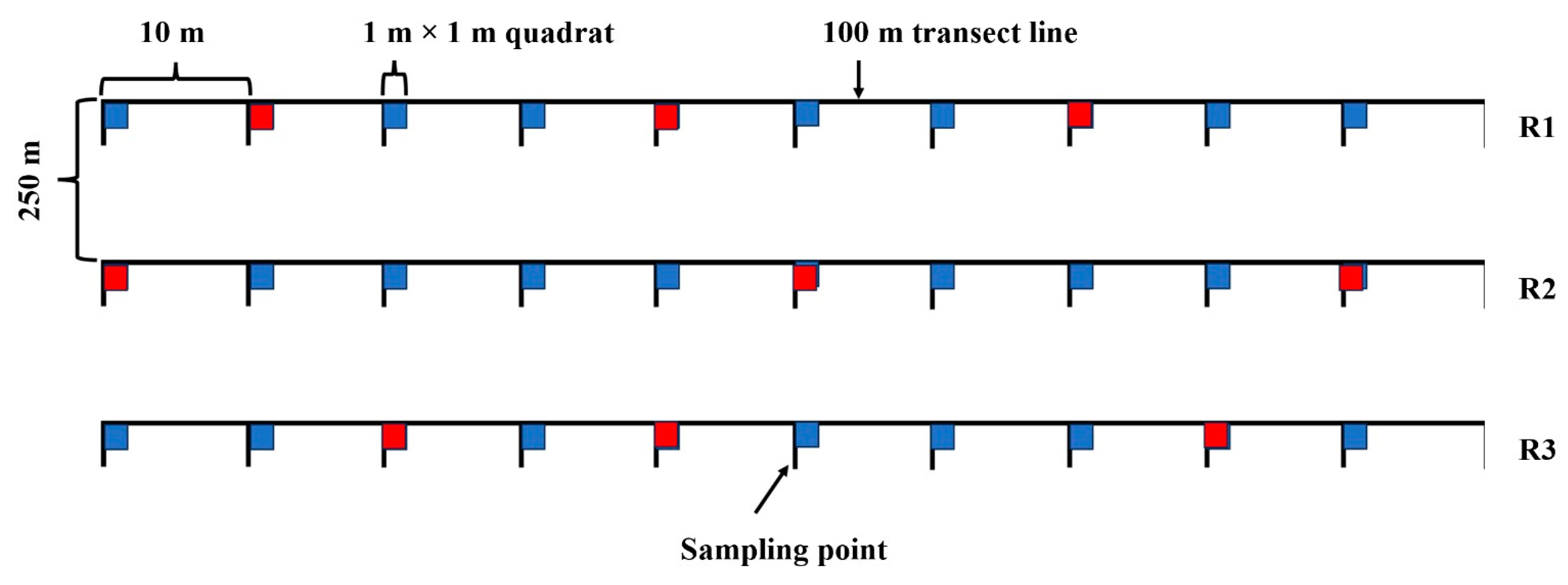 Plants 13 00203 g013