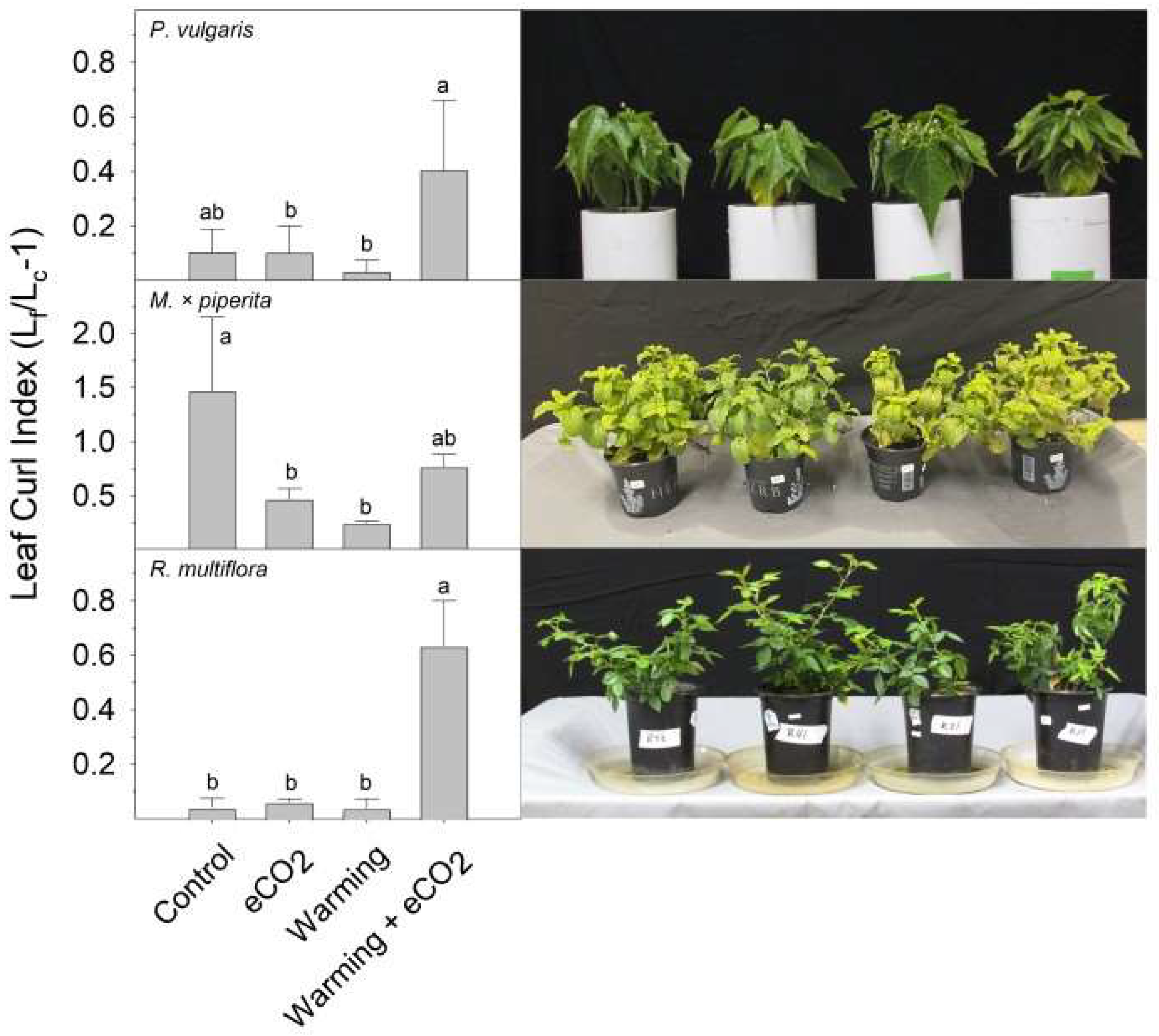 Plants 13 00204 g003