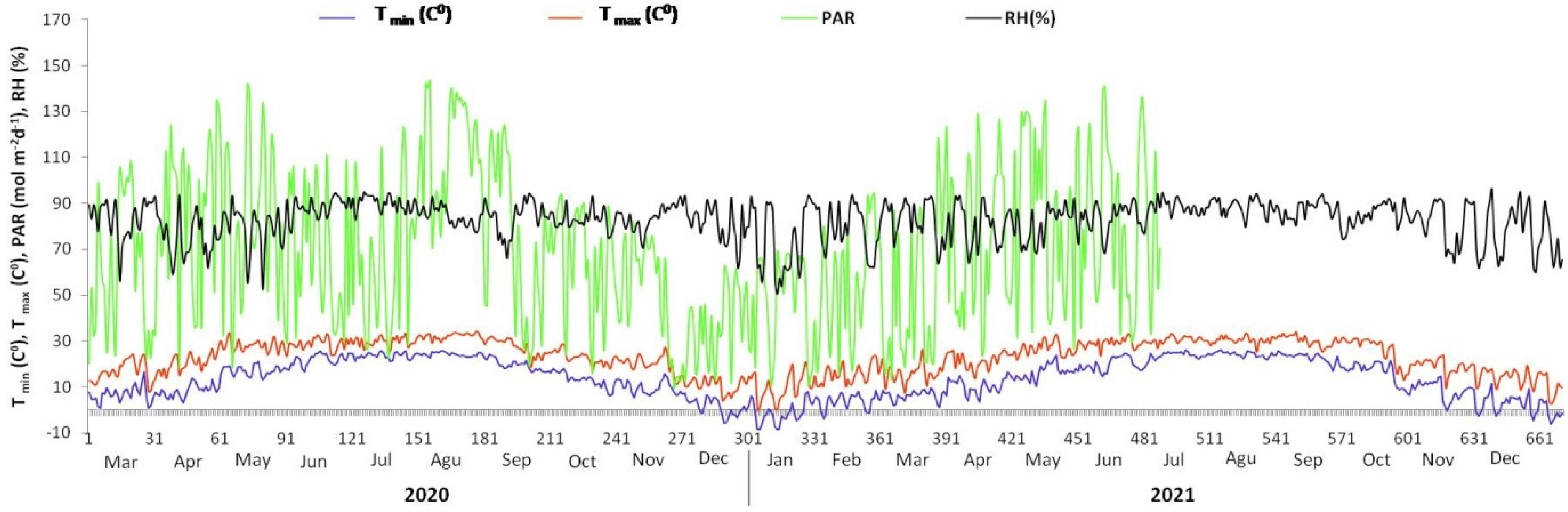 Plants 13 00207 g001