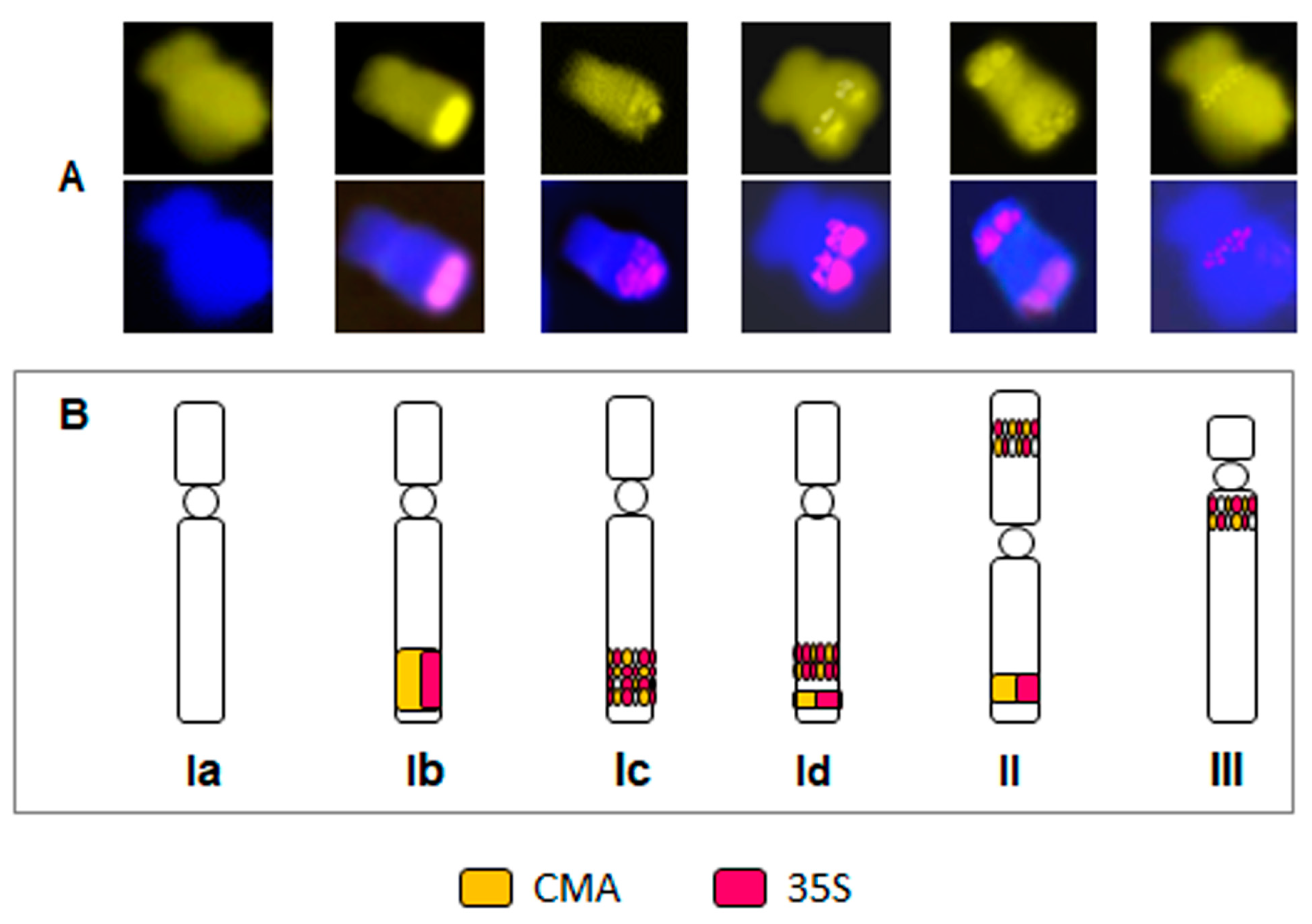 Plants 13 00208 g002