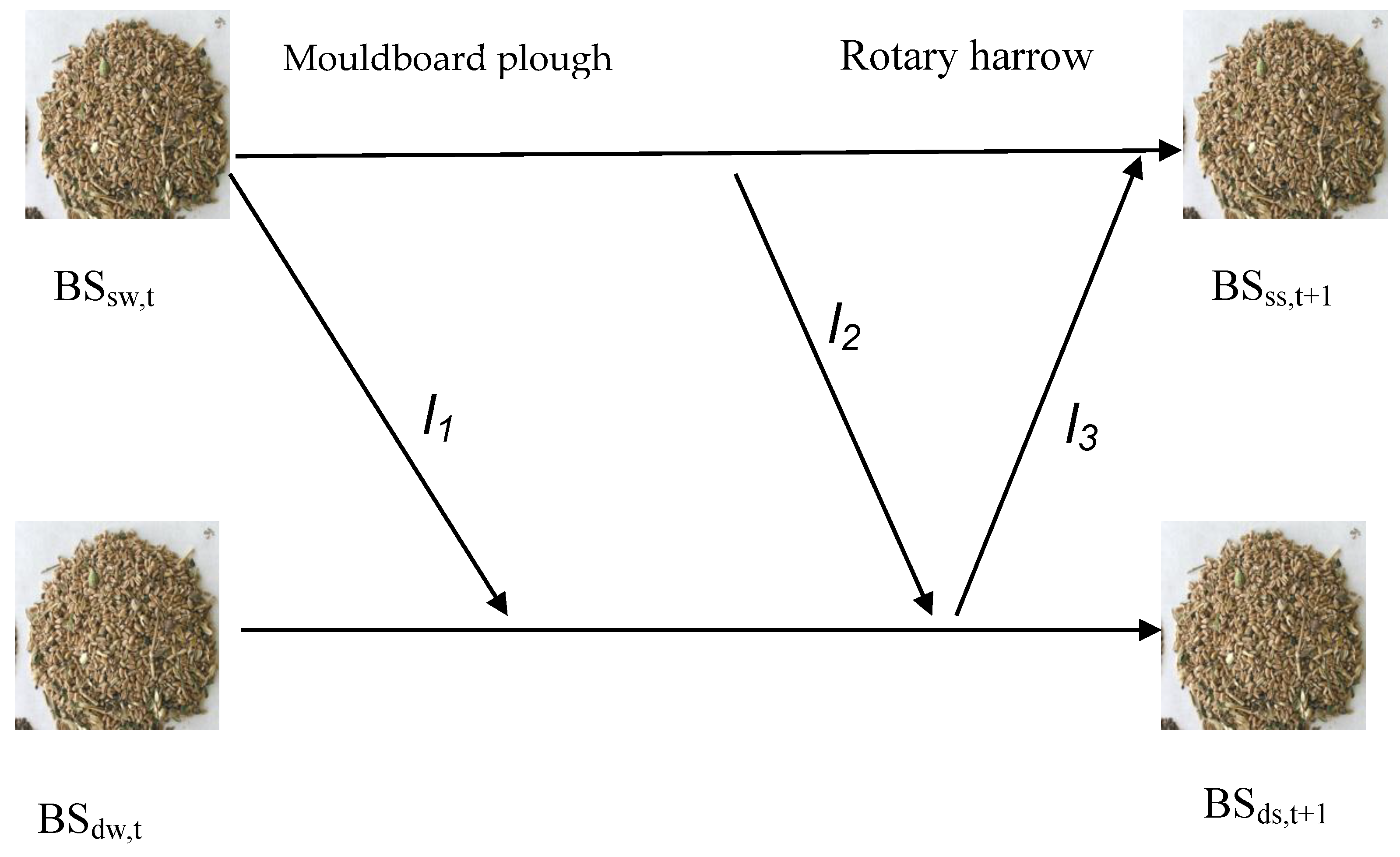 Plants 13 00212 g002