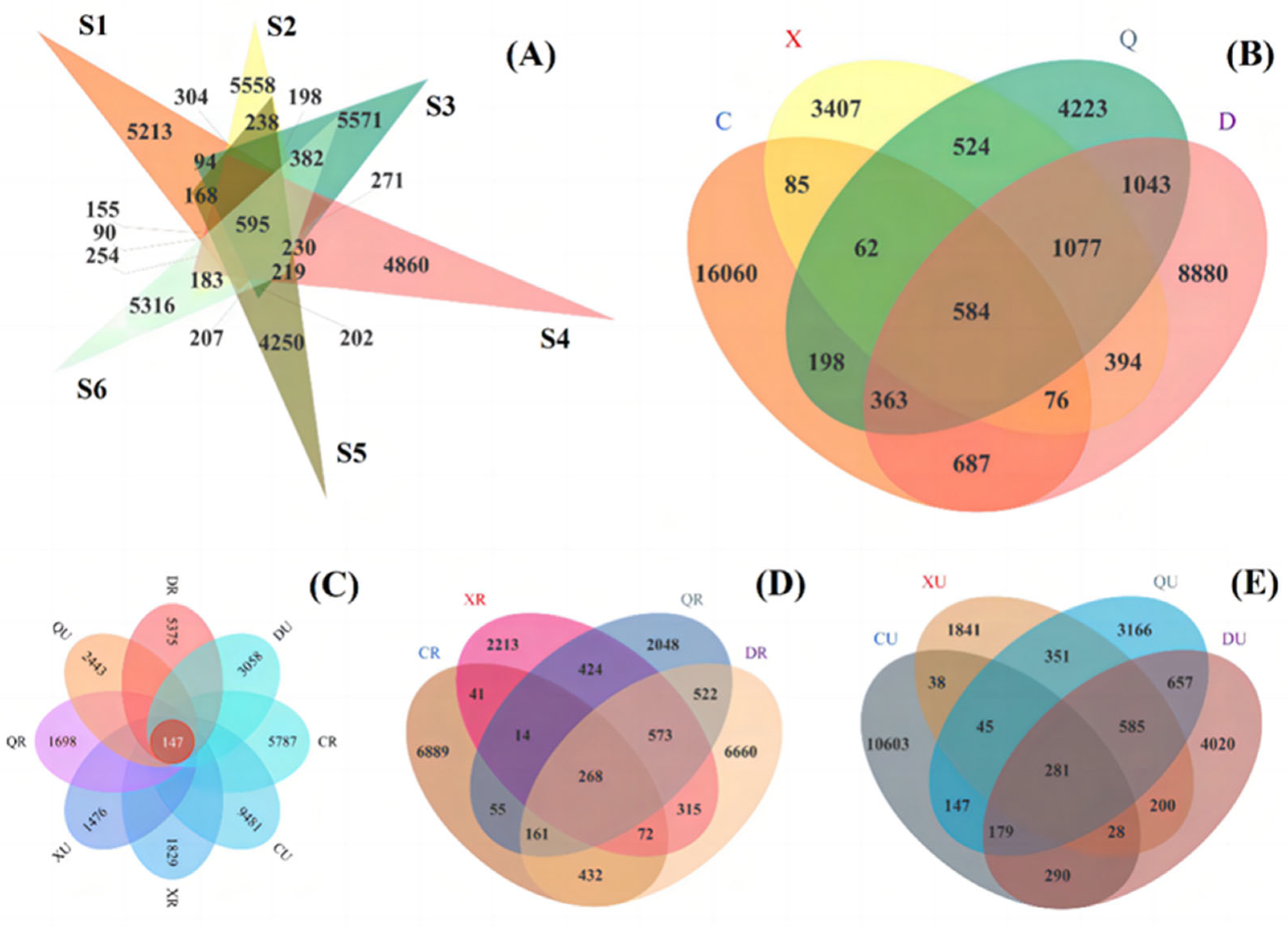 Plants 13 00213 g009