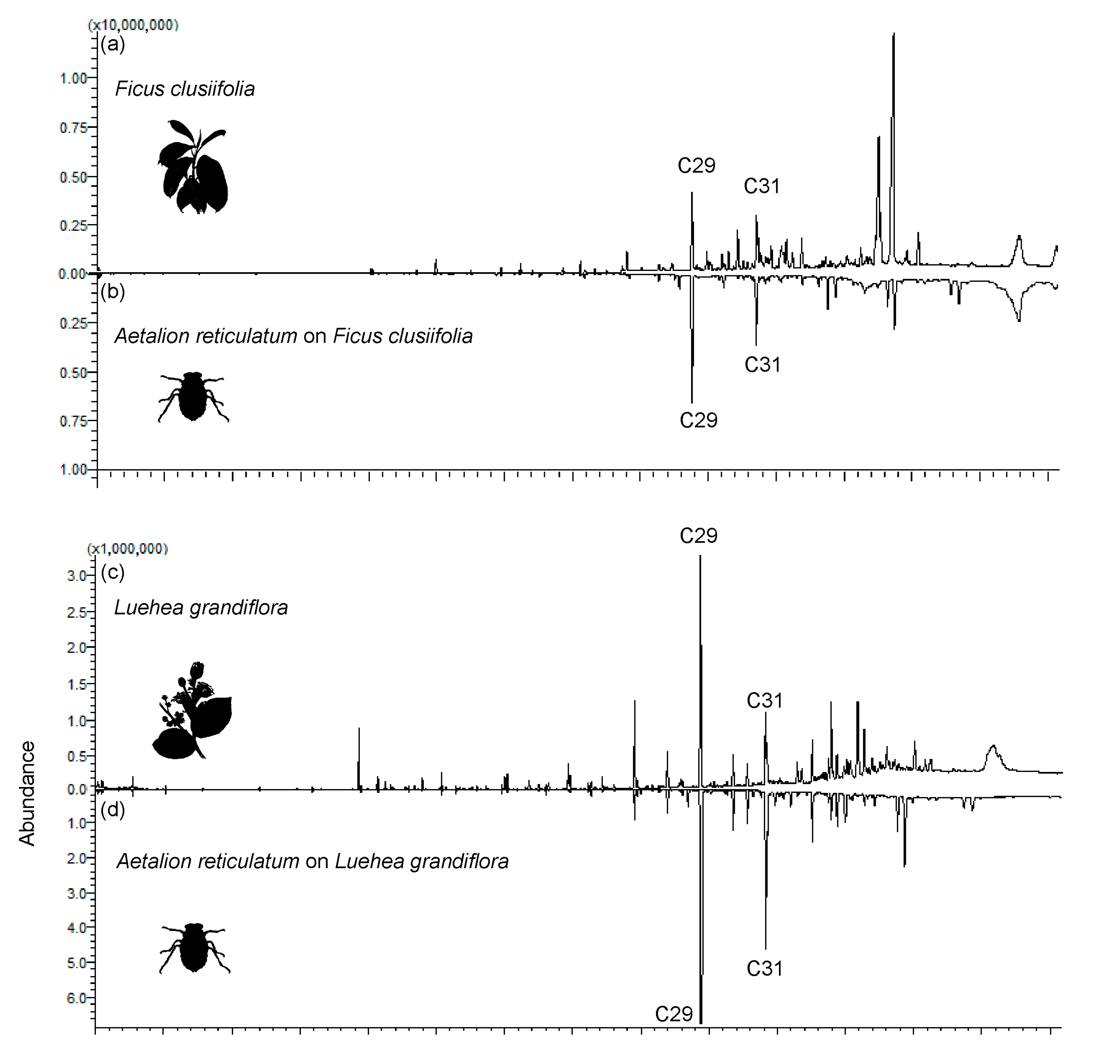 Plants 13 00216 g001a