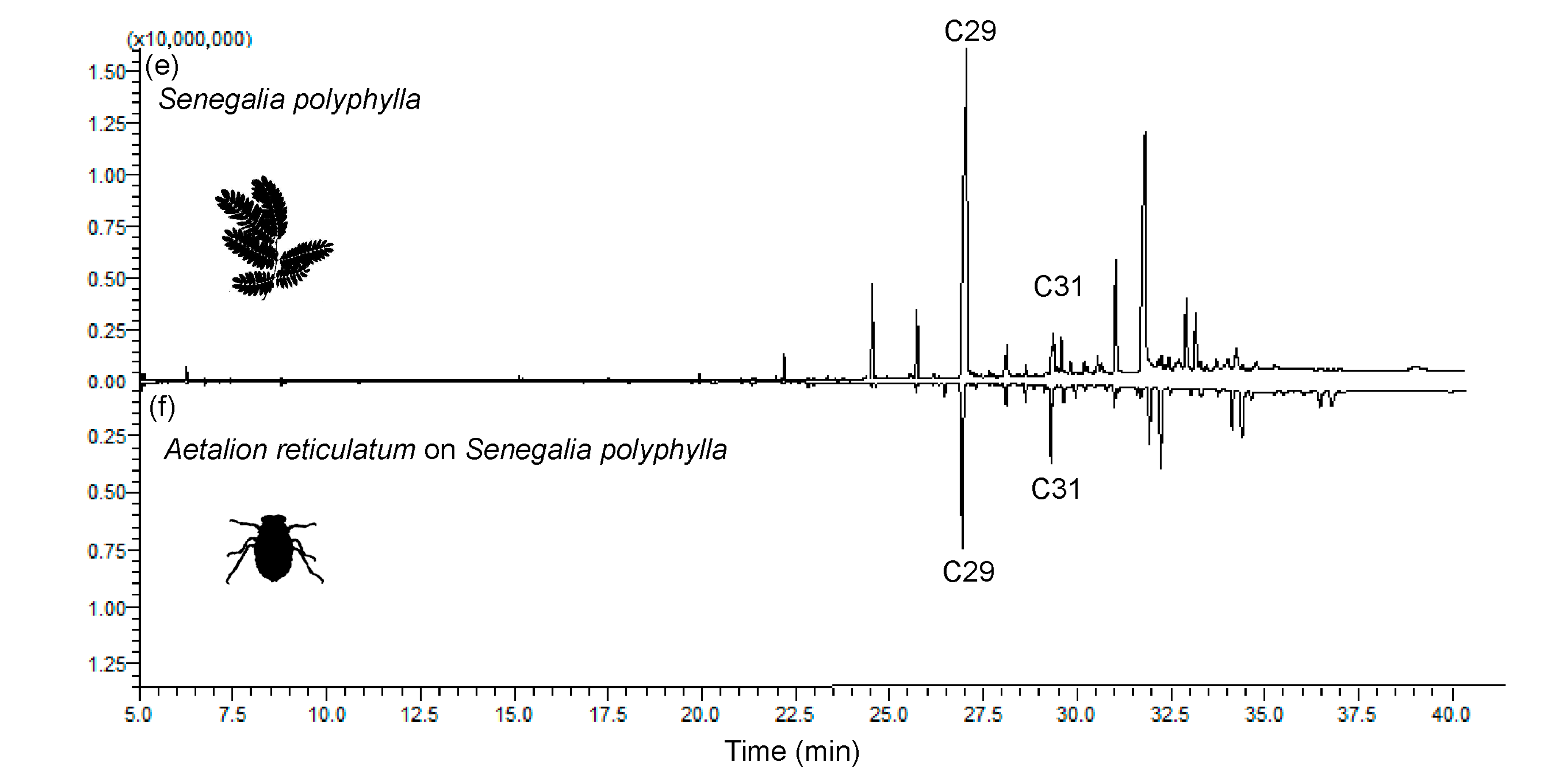 Plants 13 00216 g001b