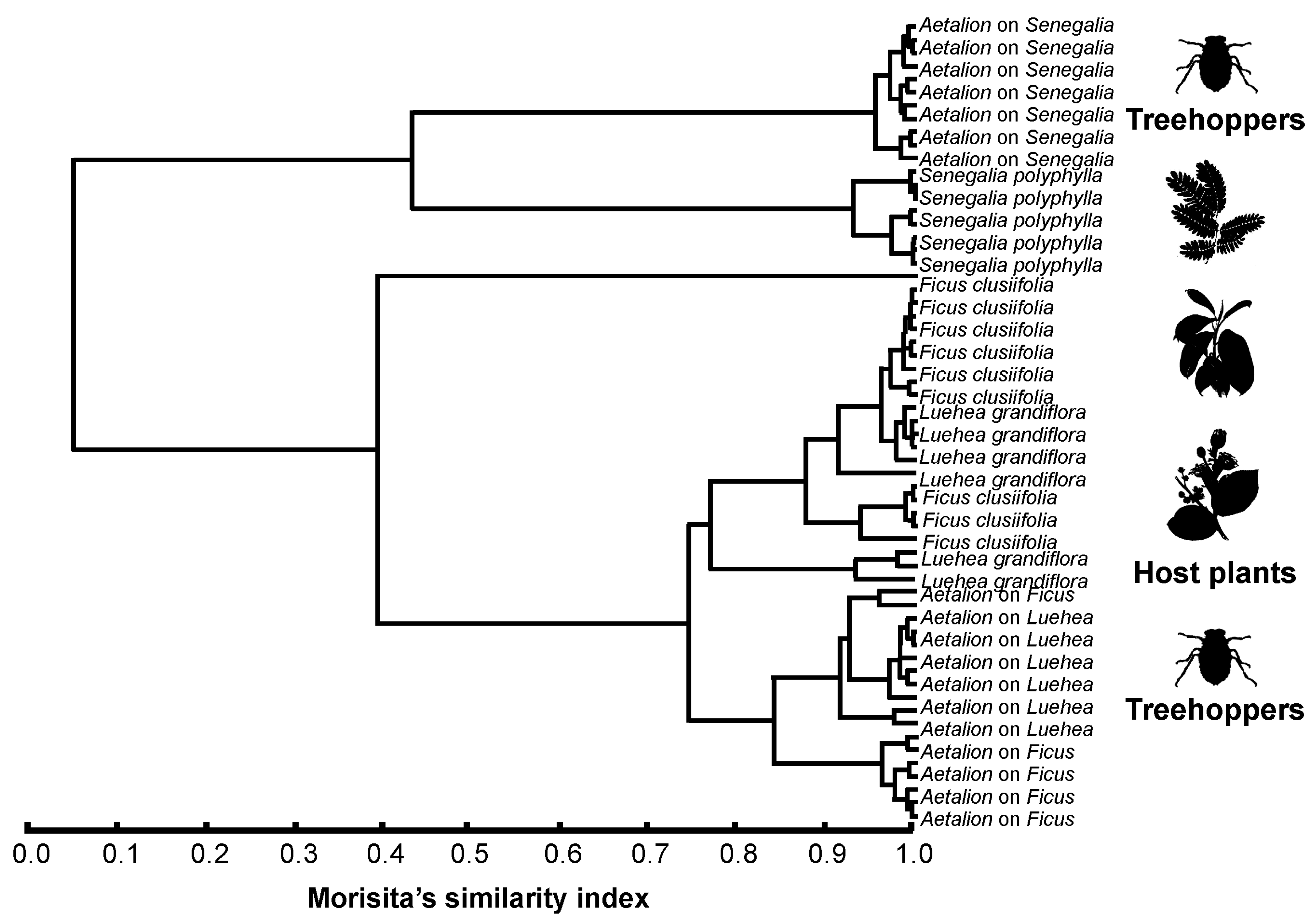 Plants 13 00216 g002