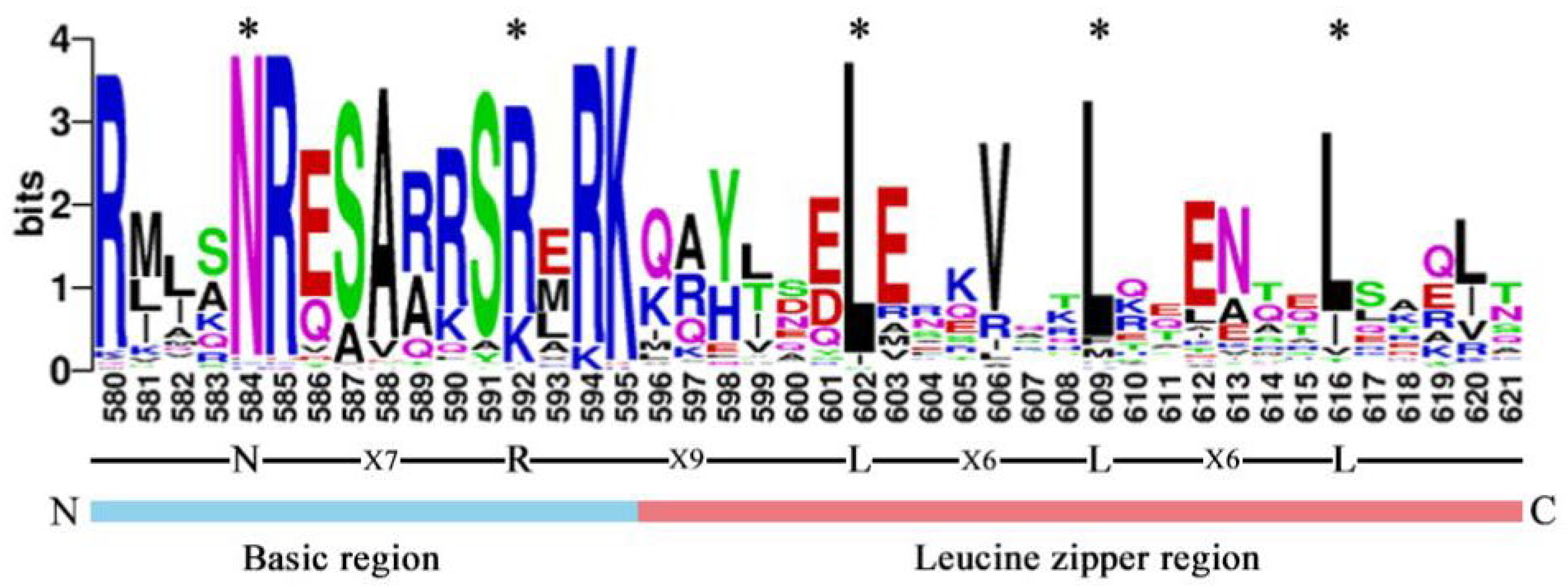Plants 13 00219 g002