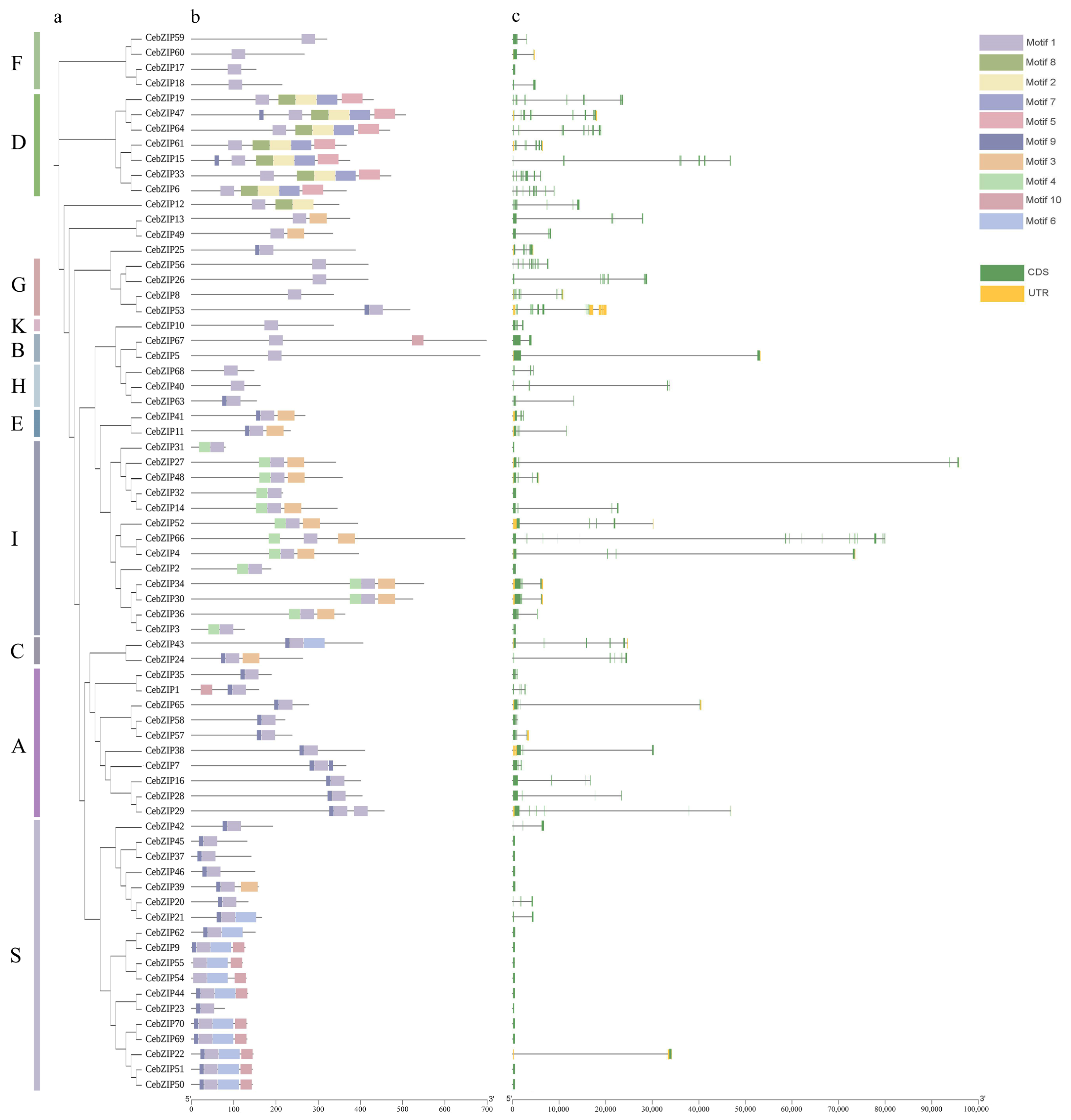 Plants 13 00219 g003