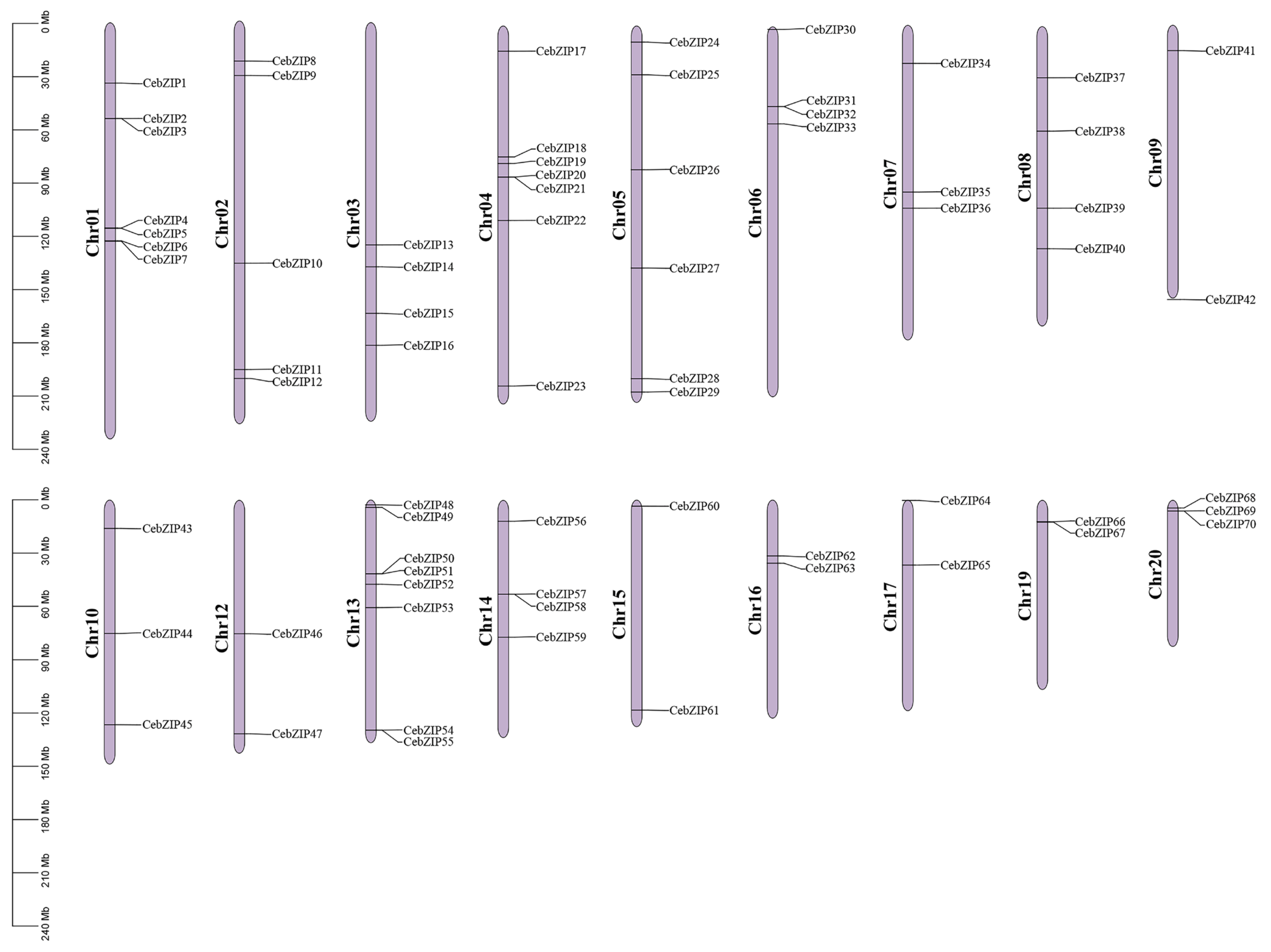 Plants 13 00219 g004