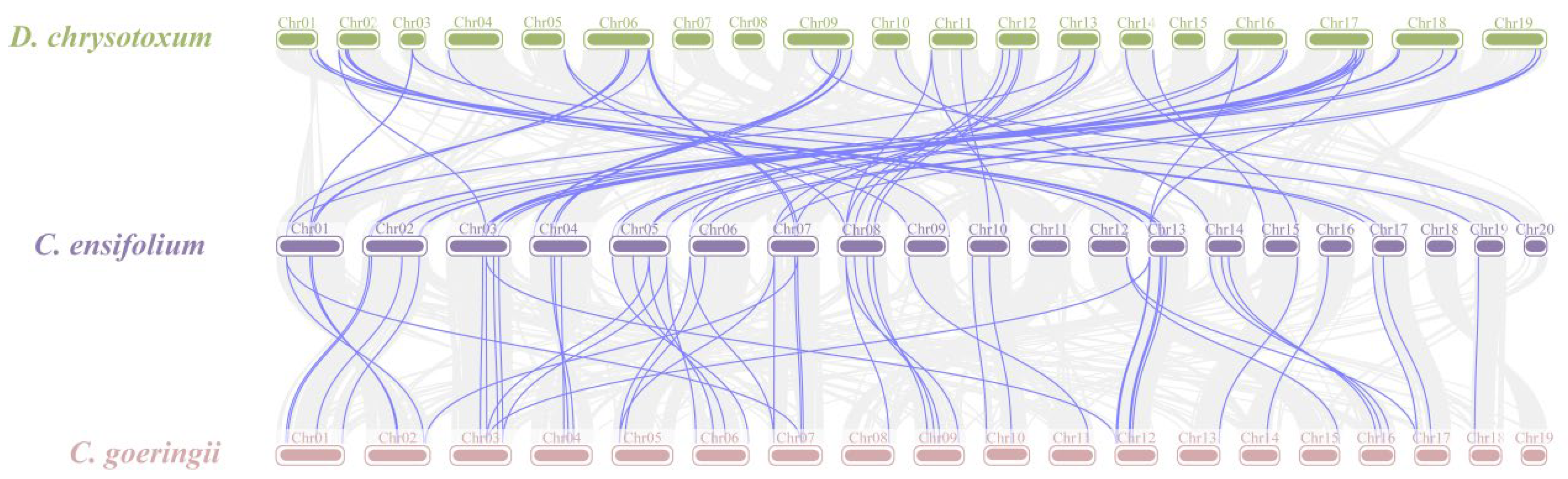 Plants 13 00219 g006
