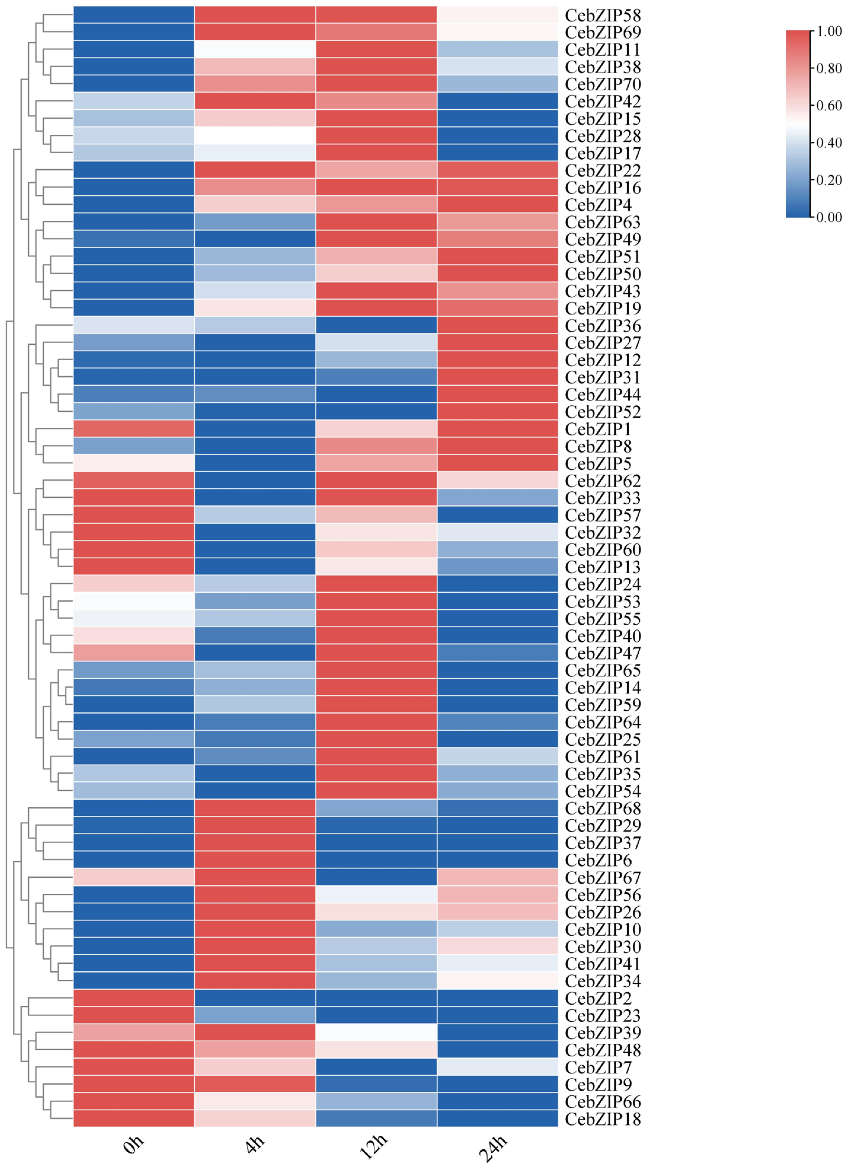 Plants 13 00219 g008