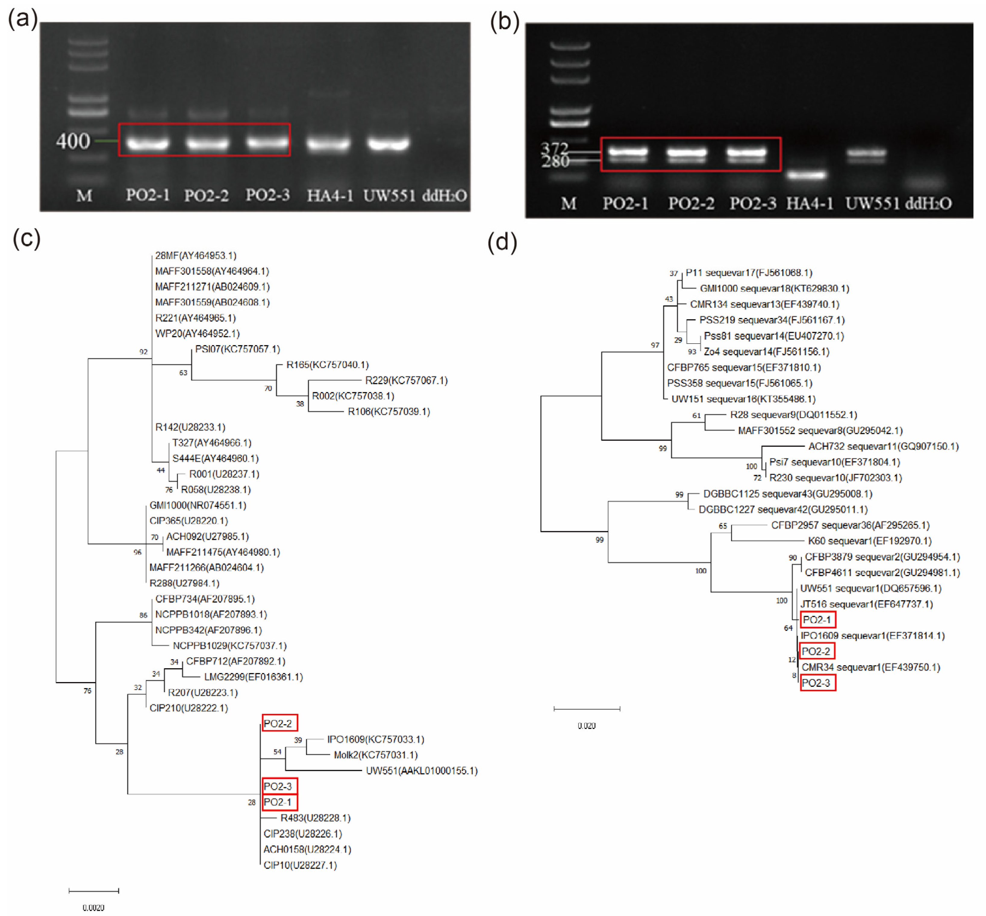 Plants 13 00220 g001
