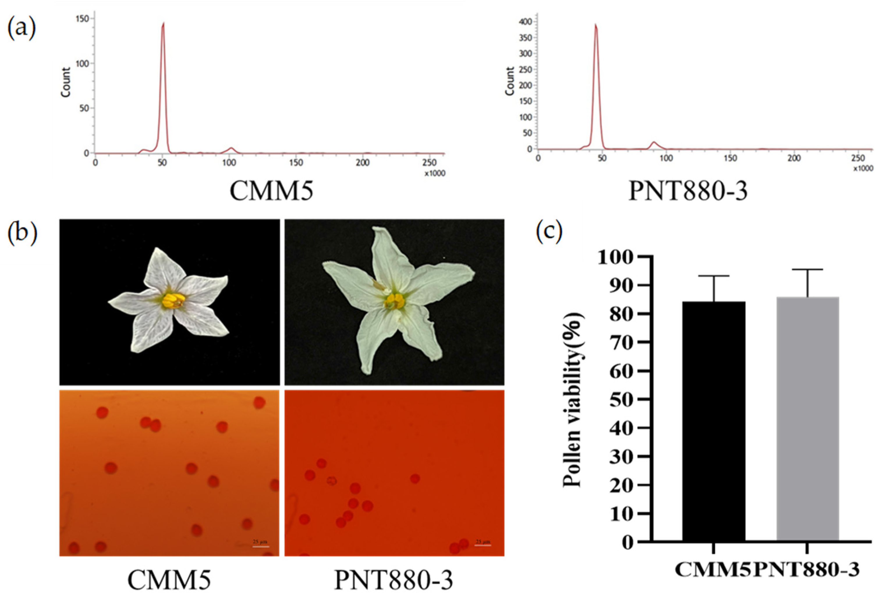 Plants 13 00220 g004