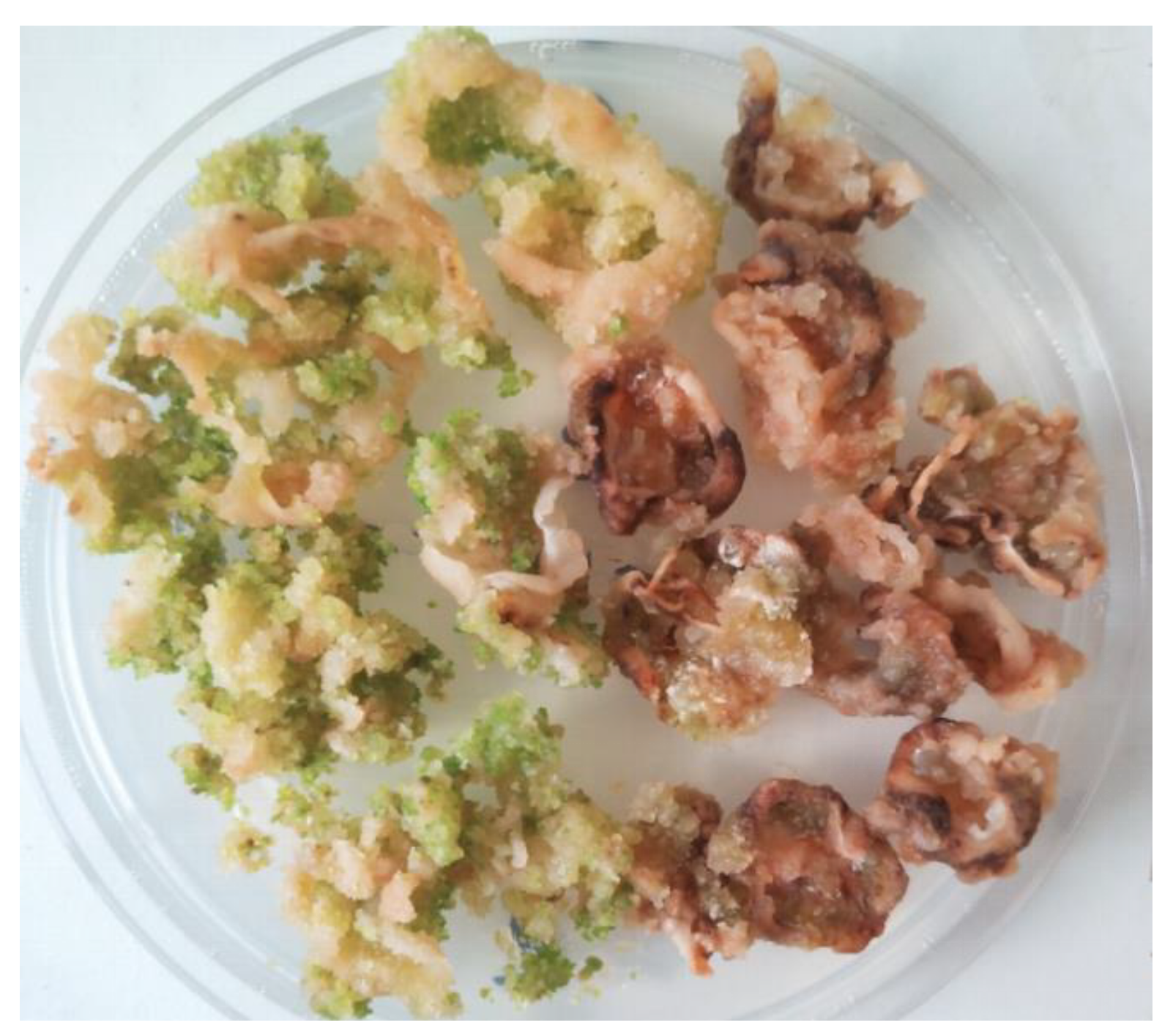 Plants 13 00223 g004