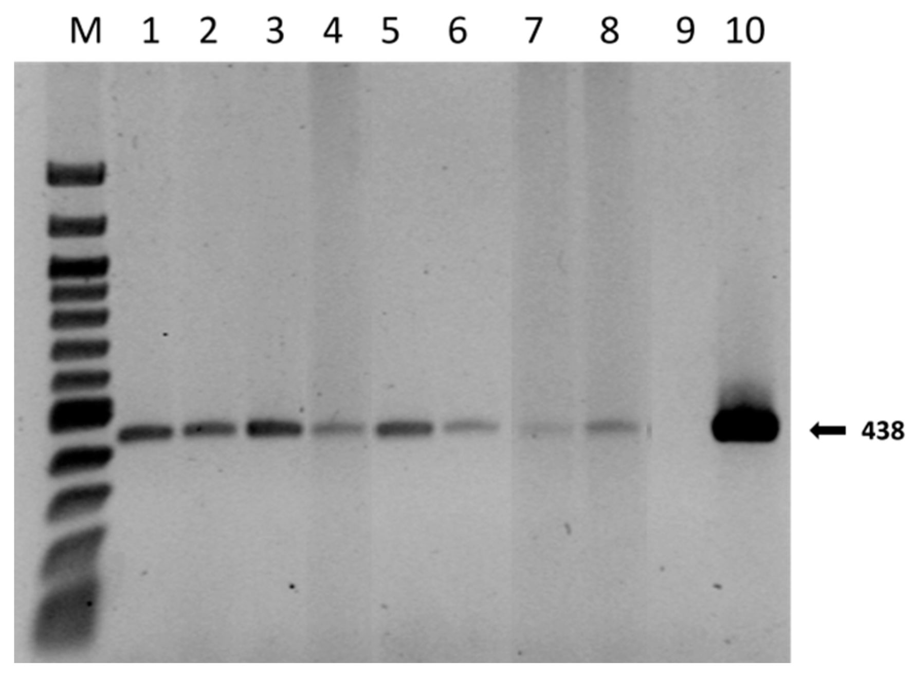 Plants 13 00224 g004 Plants 13 00224 g004