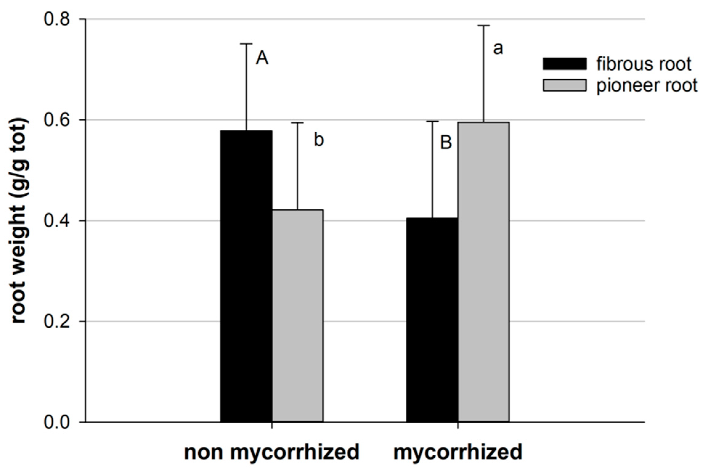 Plants 13 00224 g006 Plants 13 00224 g006