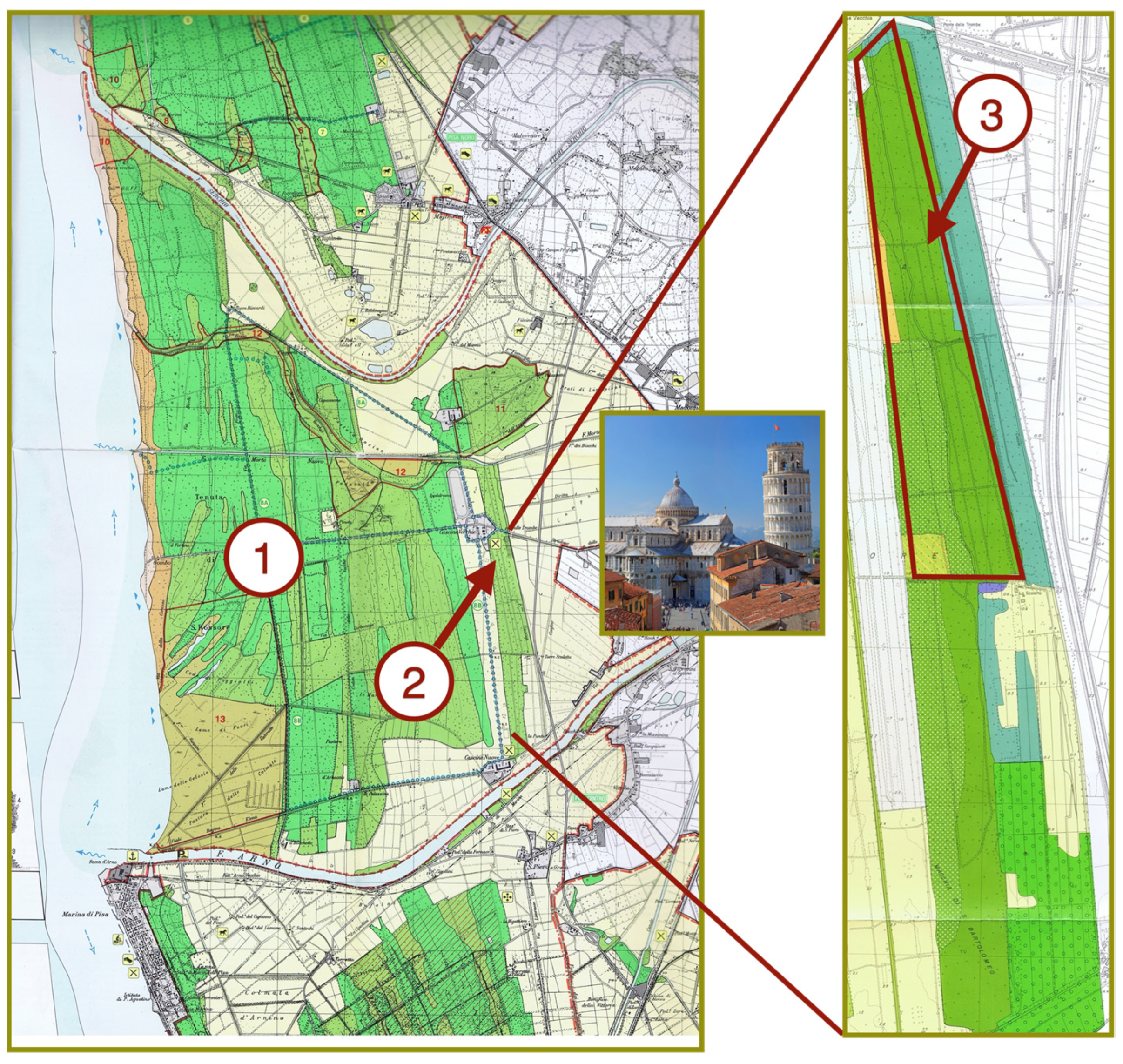 Plants 13 00226 g007