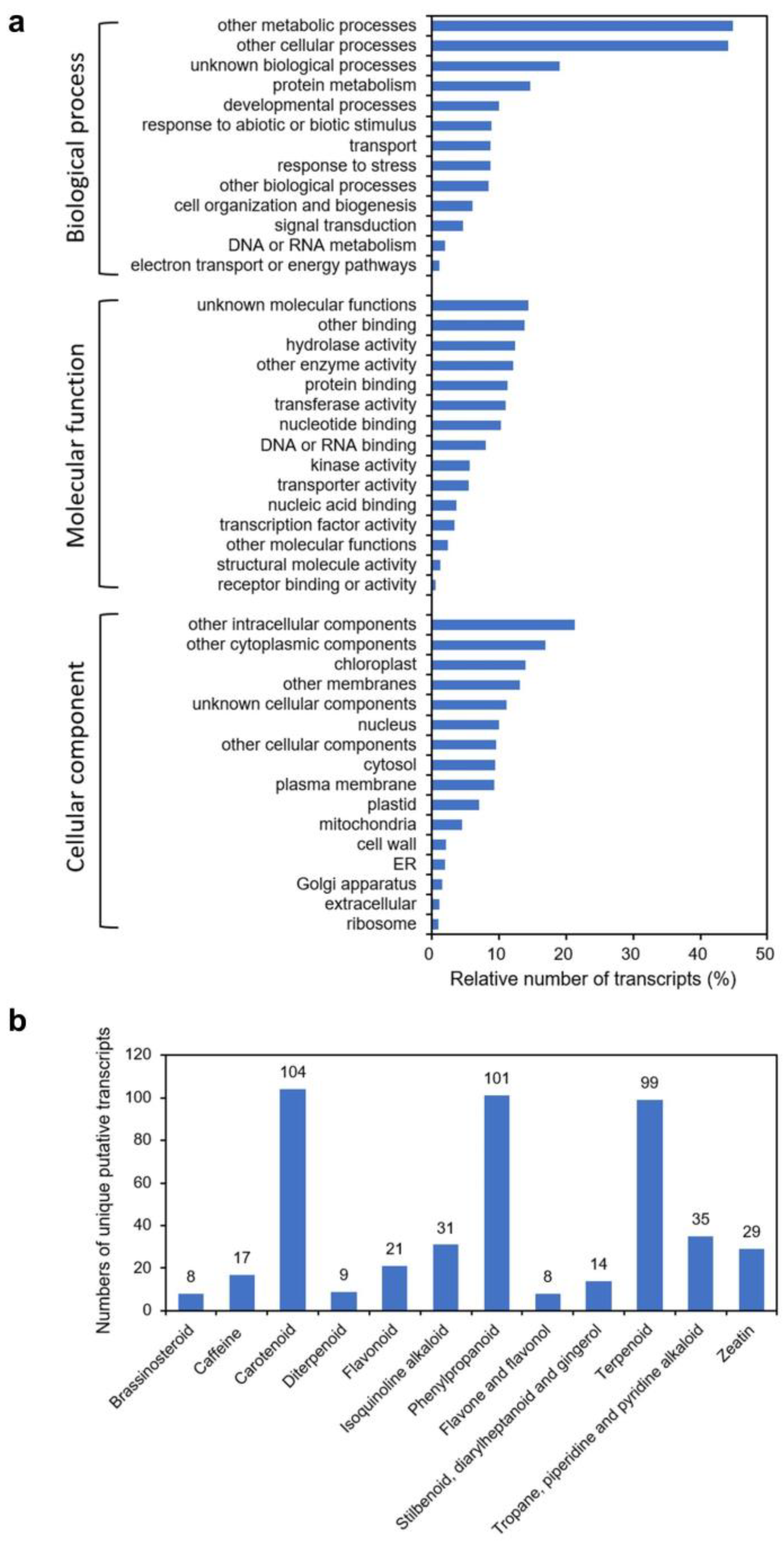 Plants 13 00231 g001