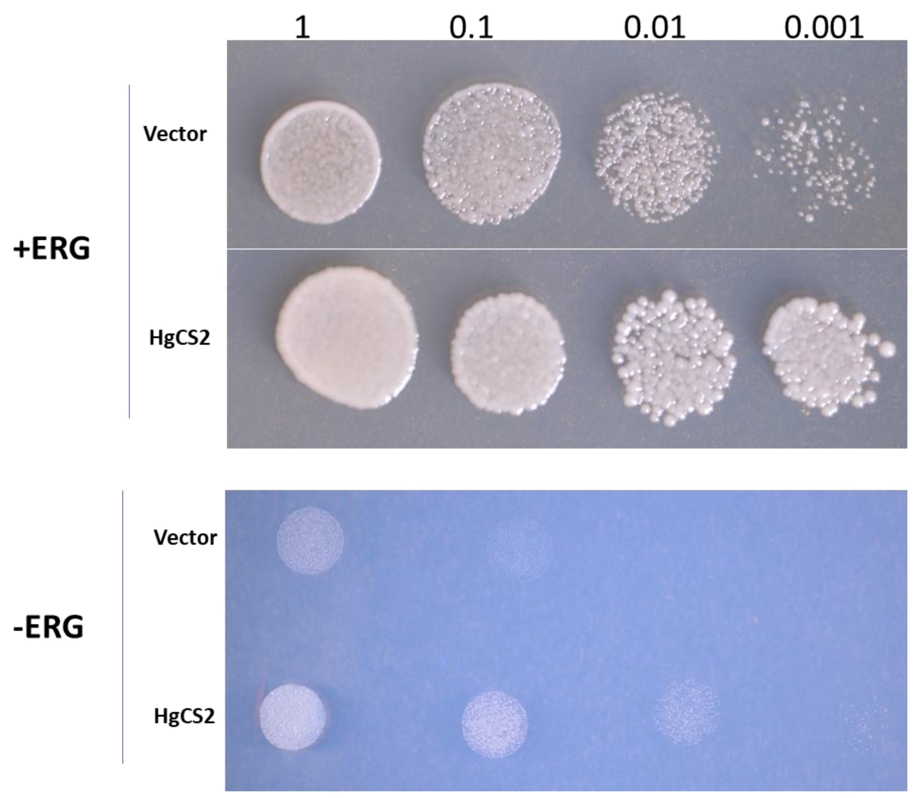 Plants 13 00231 g005