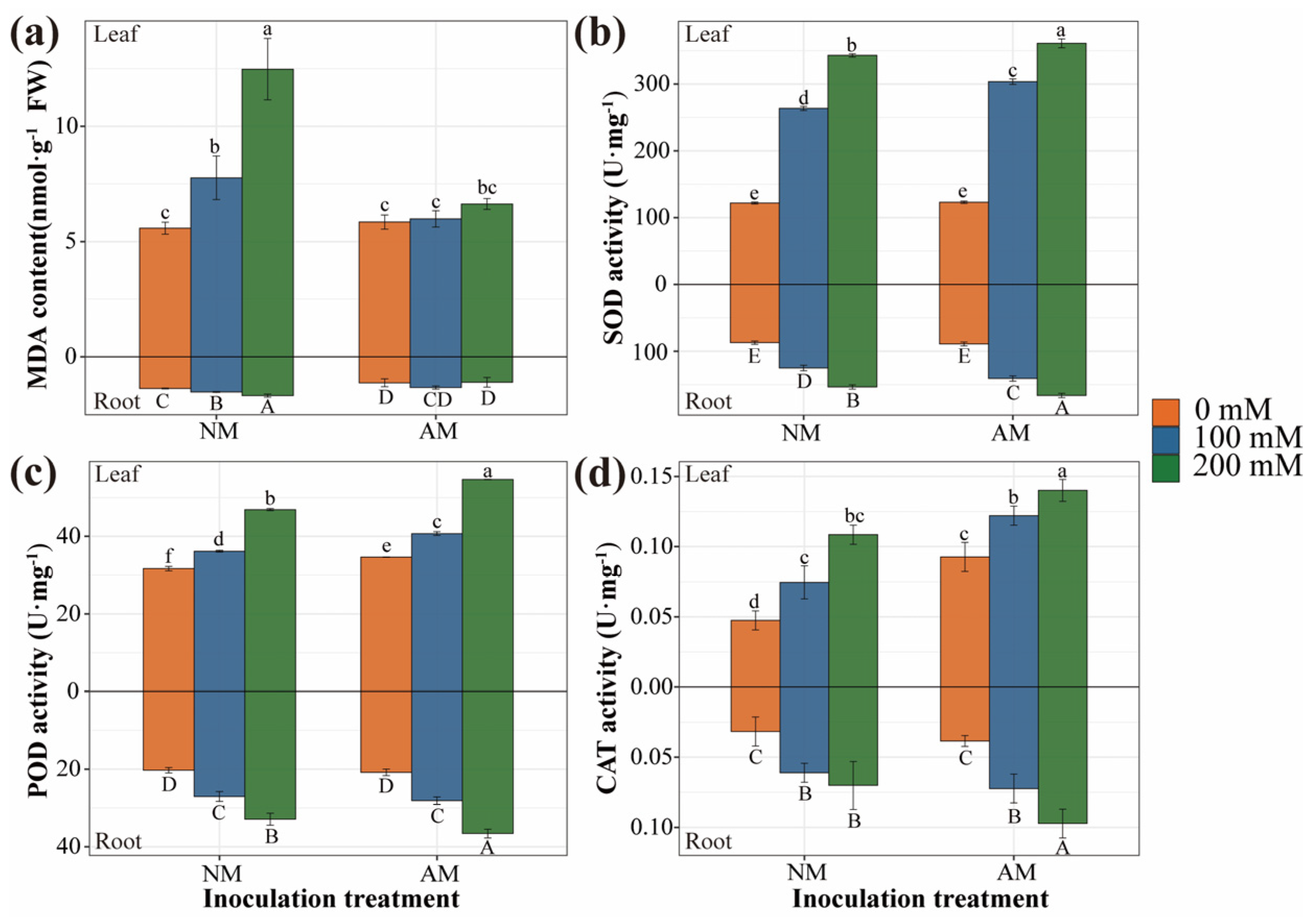 Plants 13 00233 g003