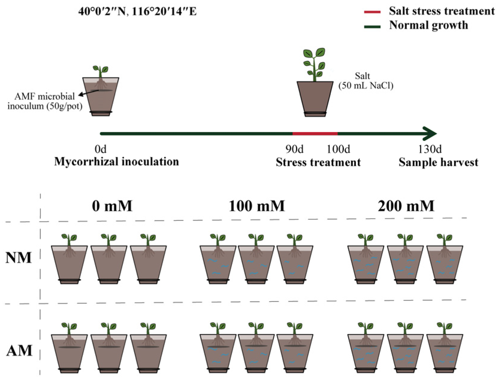 Plants 13 00233 g008
