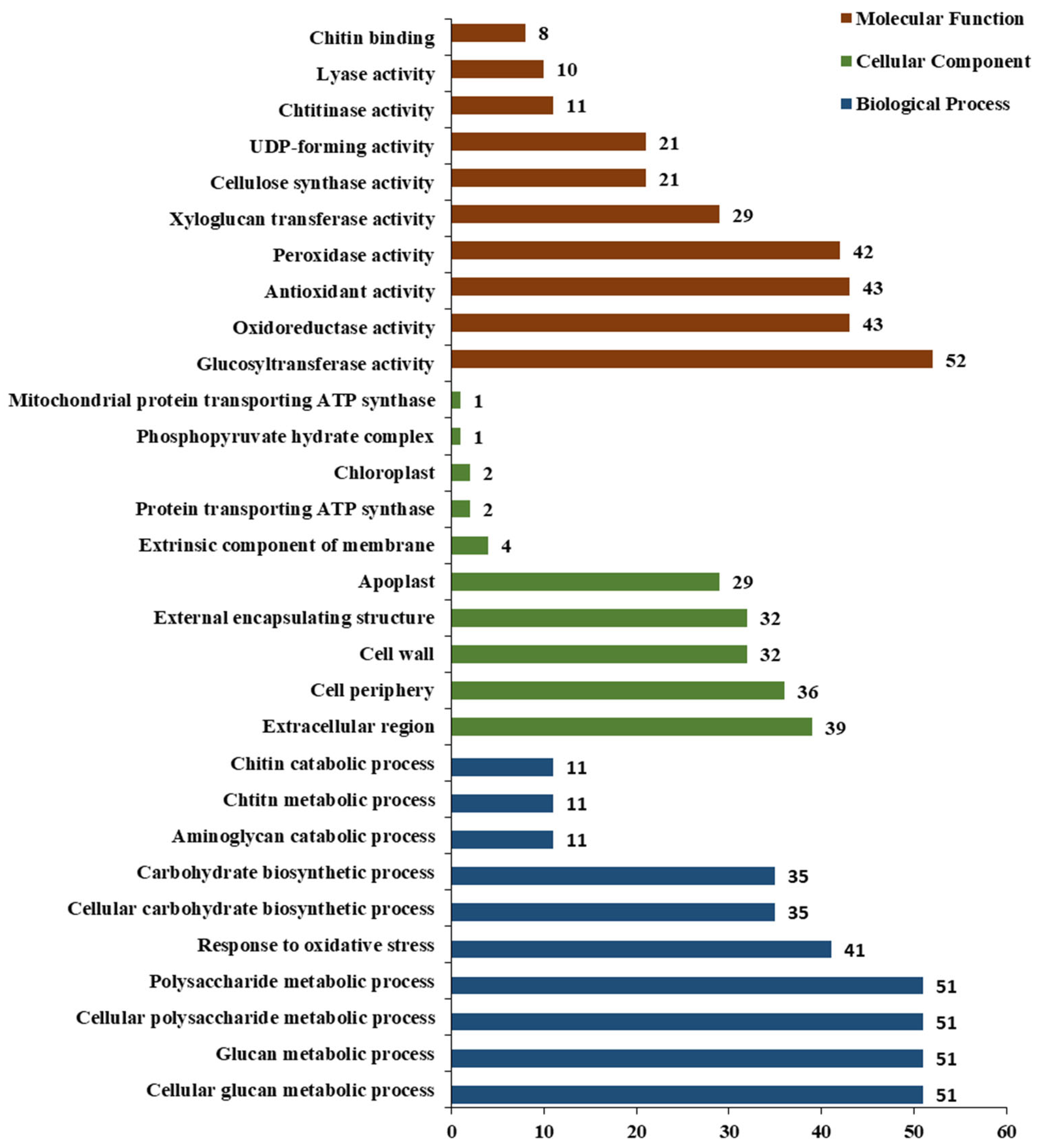 Plants 13 00234 g002