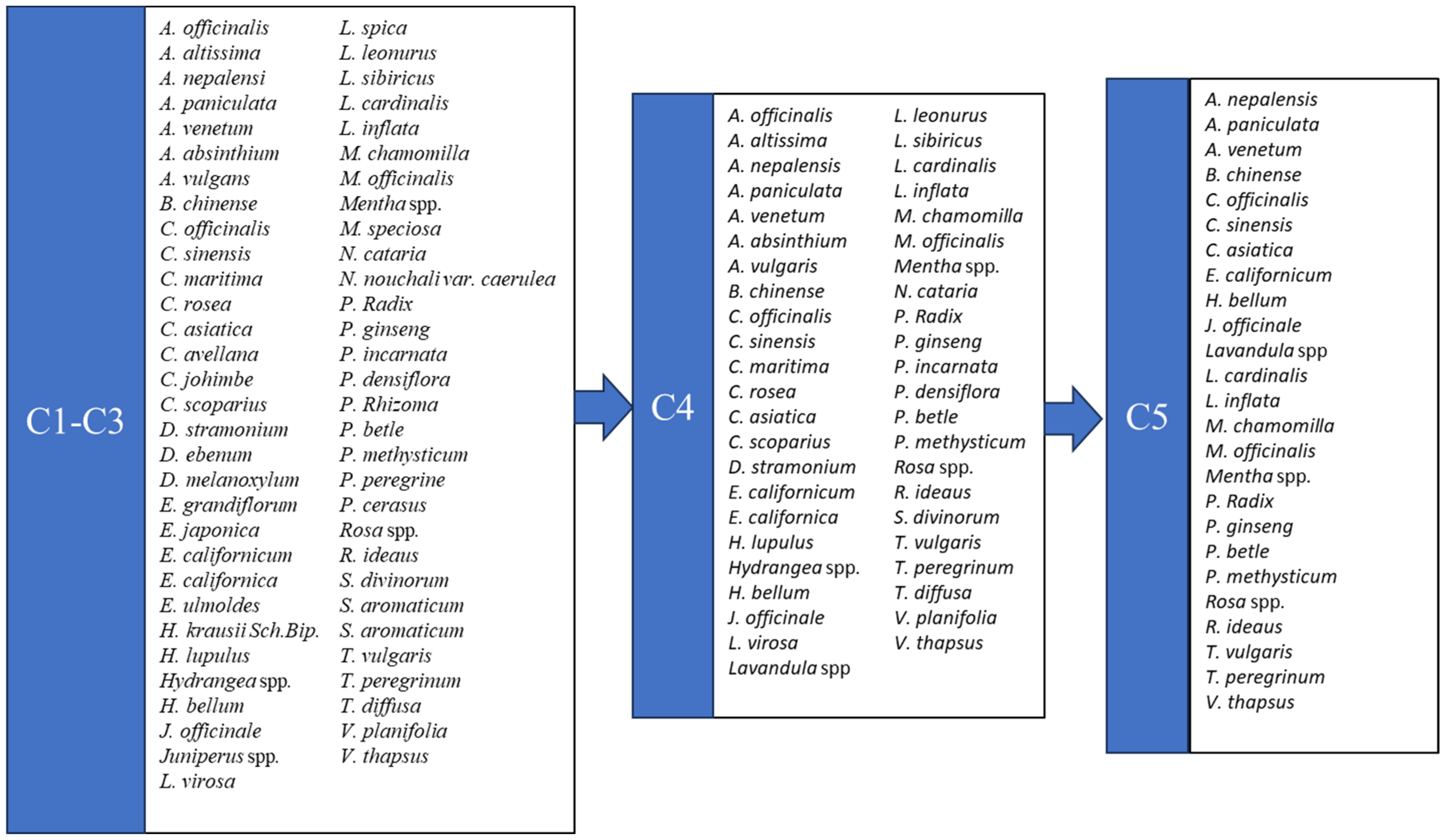 Plants 13 00236 g001