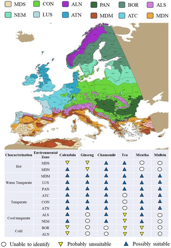 Plants 13 00236 g002