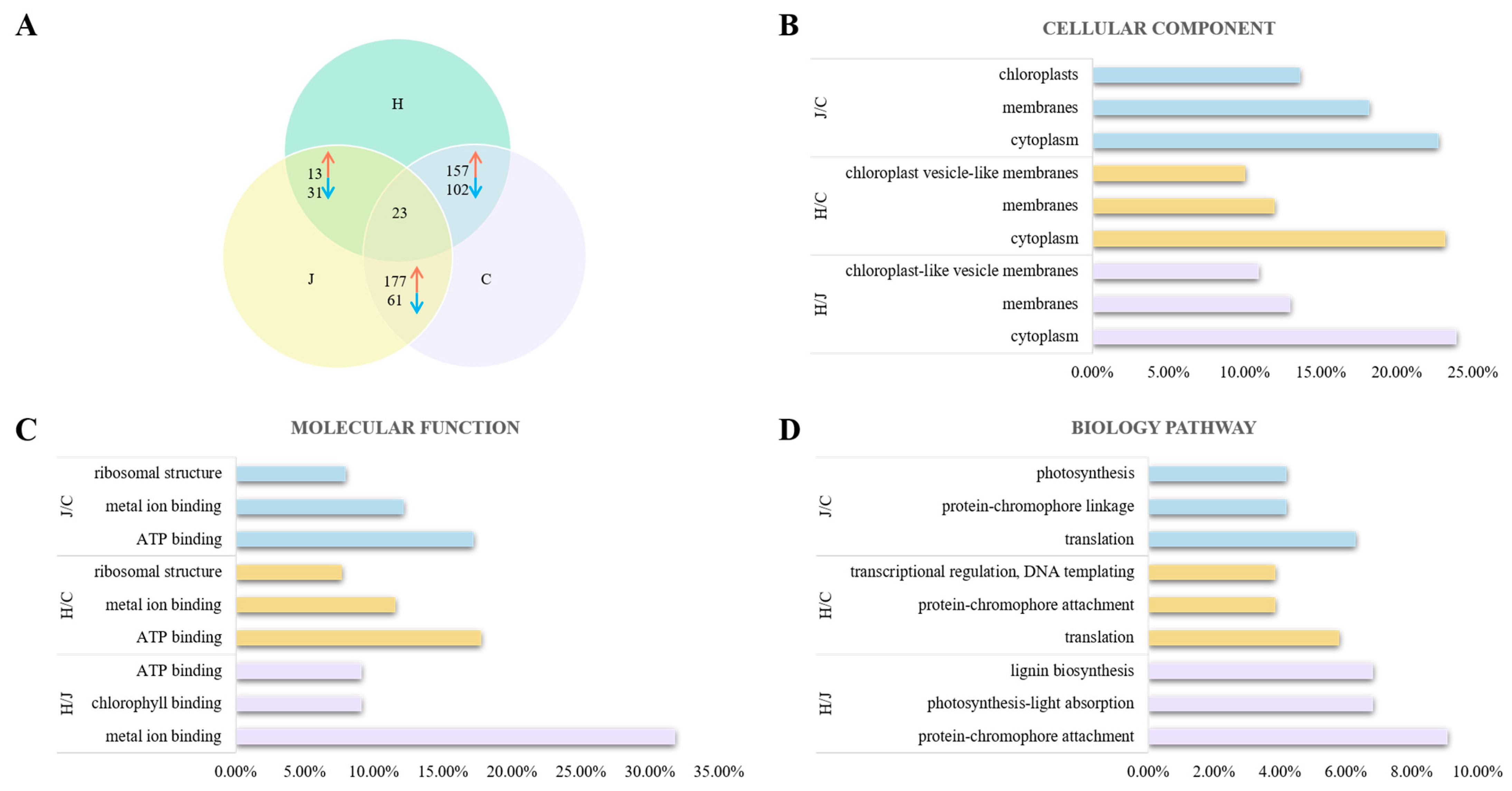 Plants 13 00238 g004