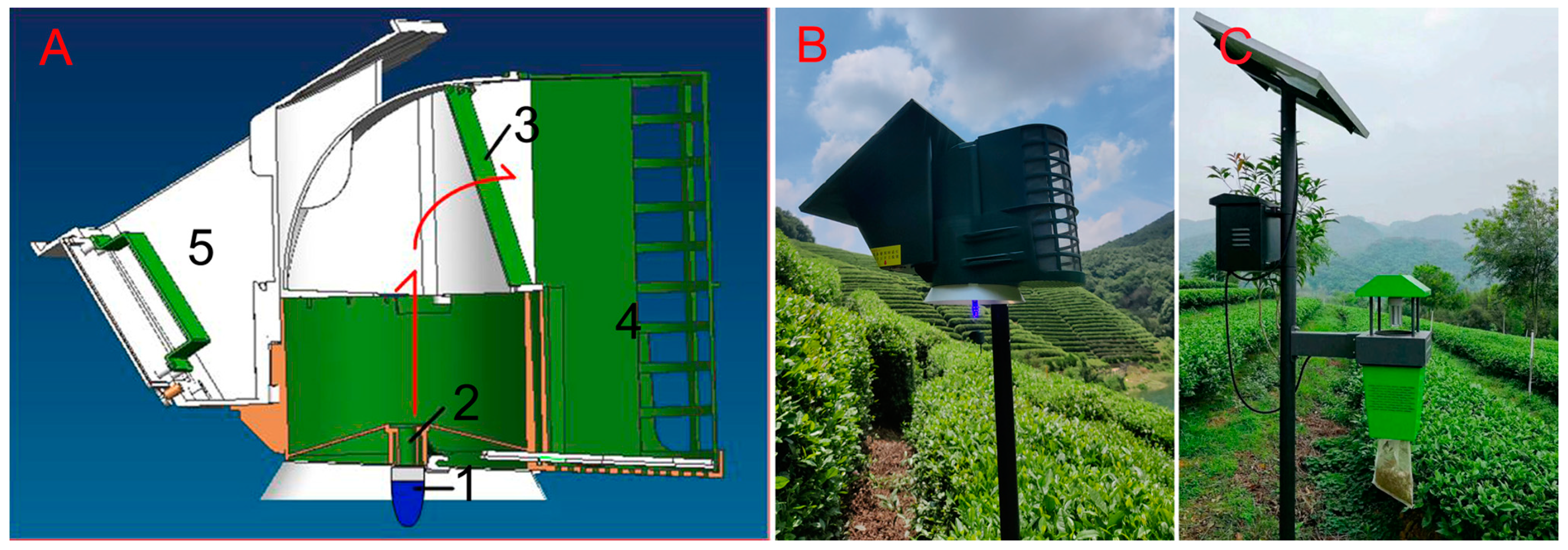 Plants 13 00241 g001