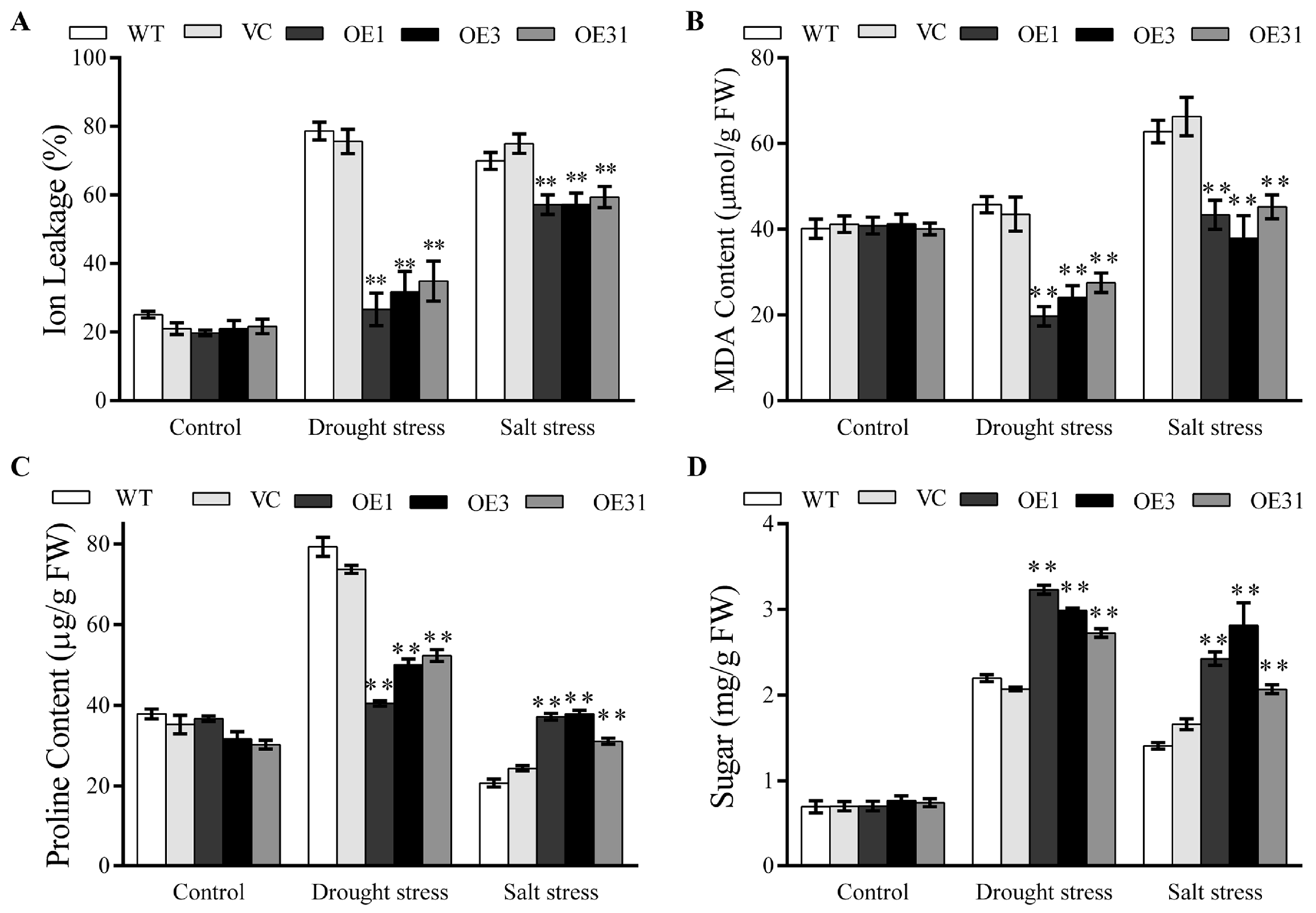 Plants 13 00245 g002