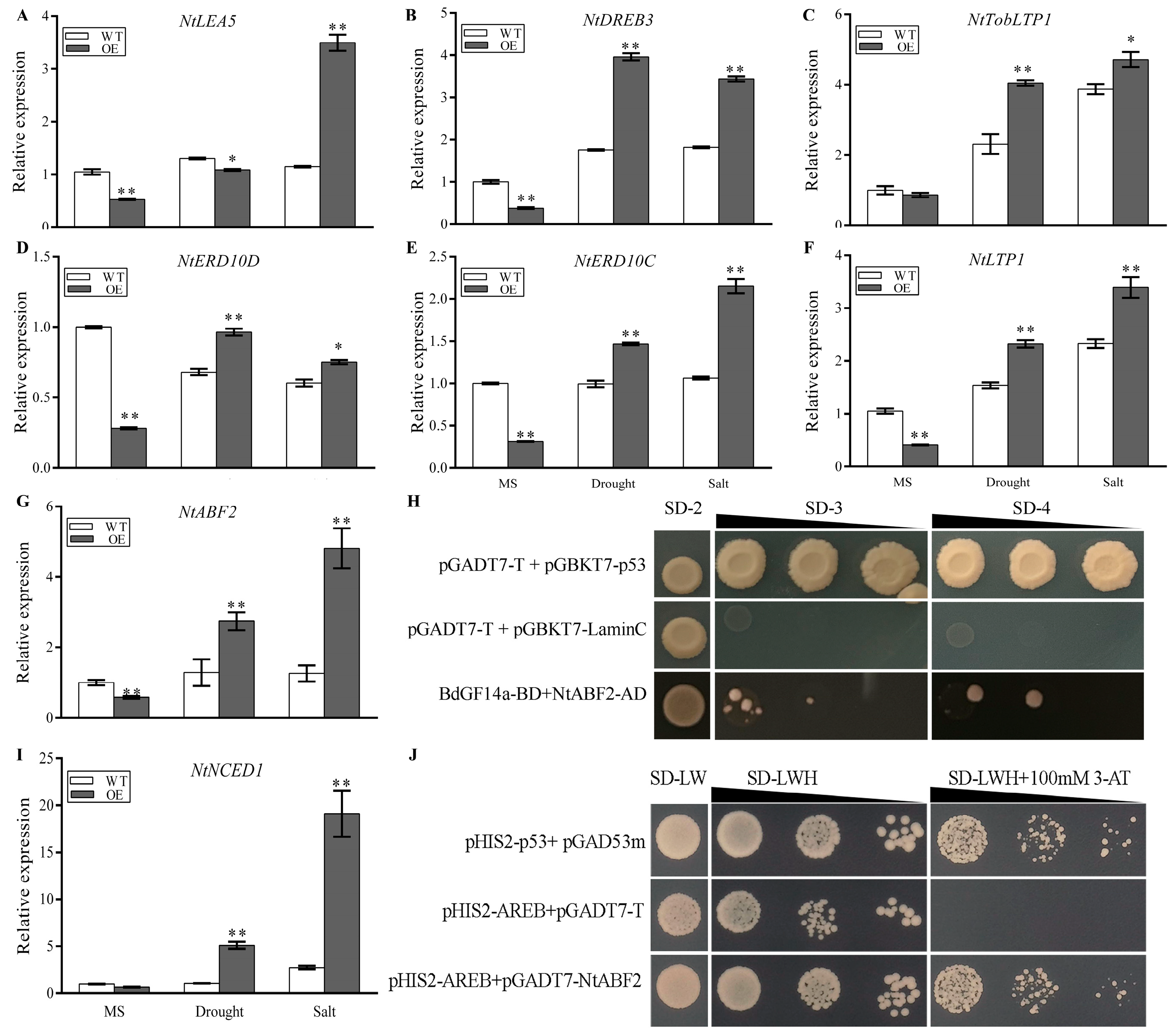 Plants 13 00245 g006