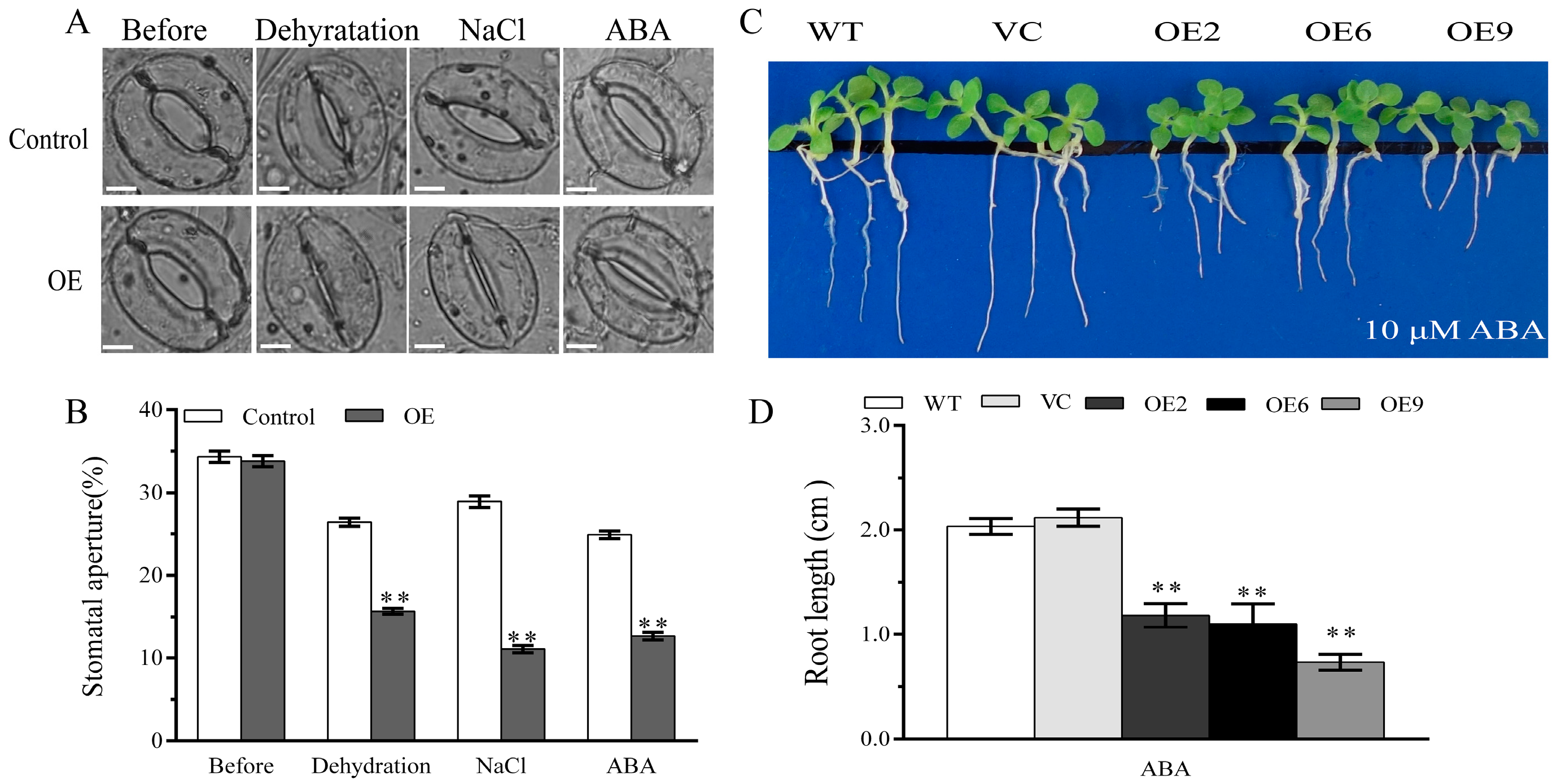 Plants 13 00245 g009