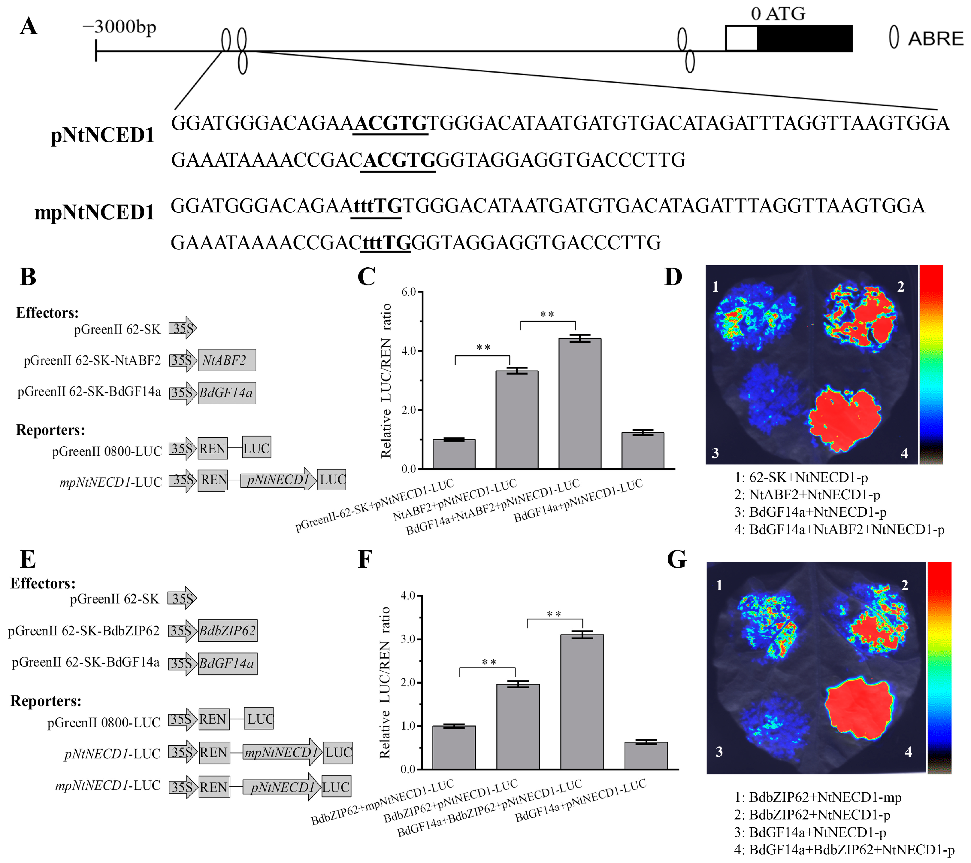 Plants 13 00245 g010