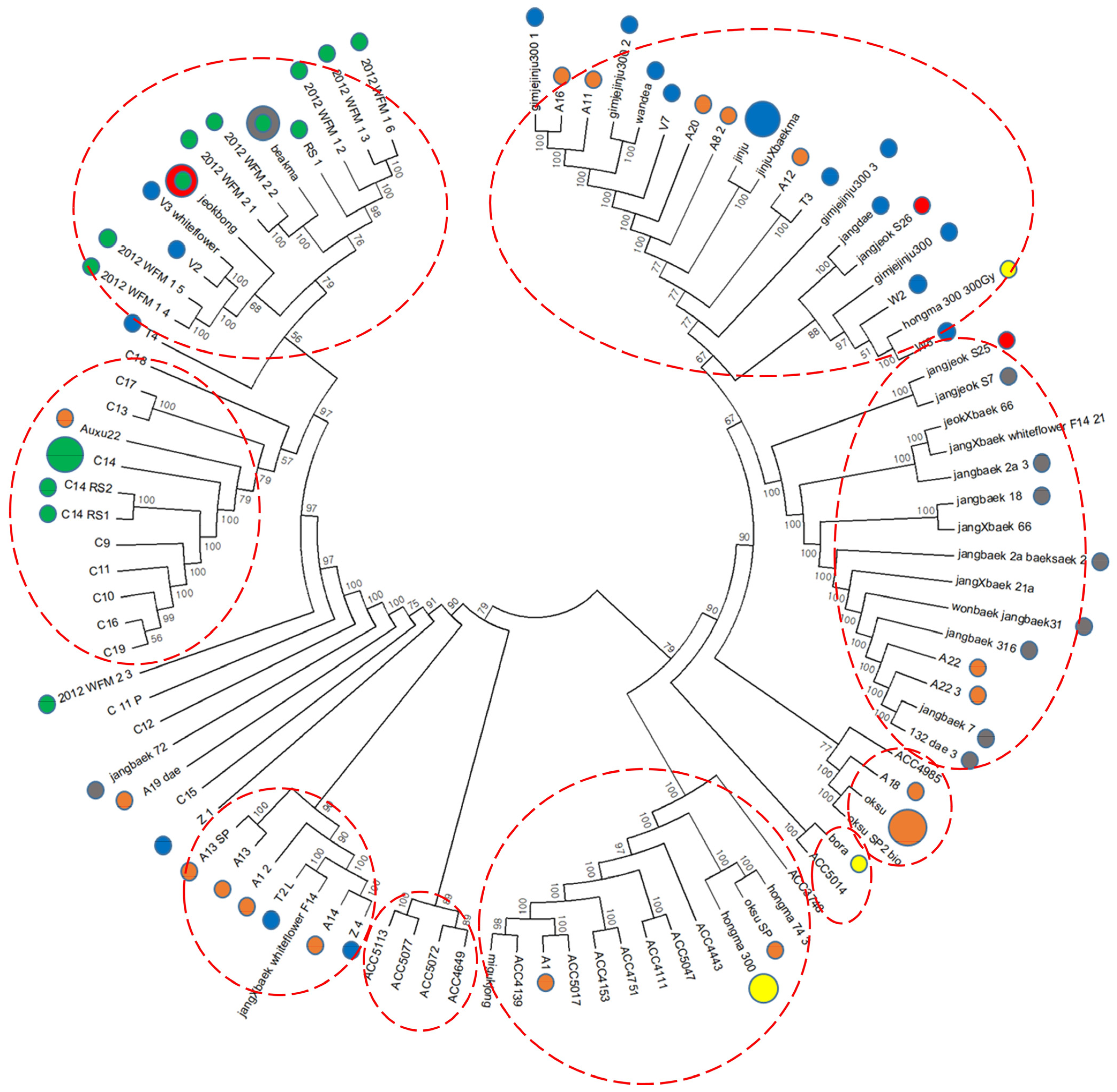 Plants 13 00249 g002