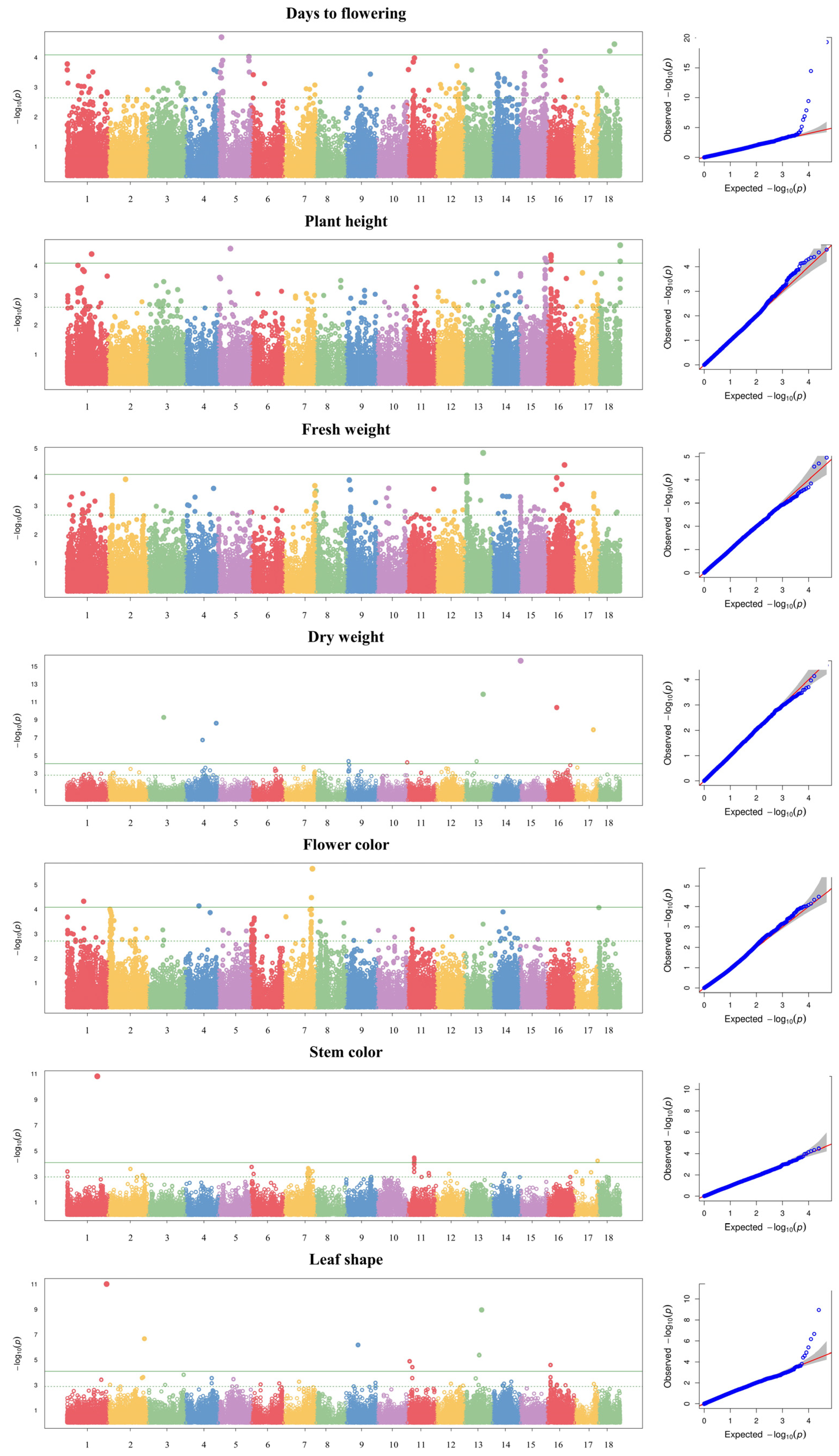 Plants 13 00249 g003
