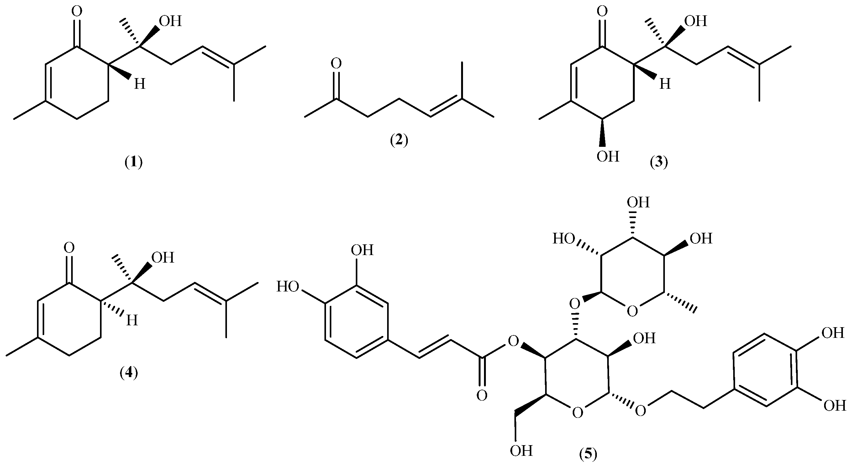 Plants 13 00253 g001