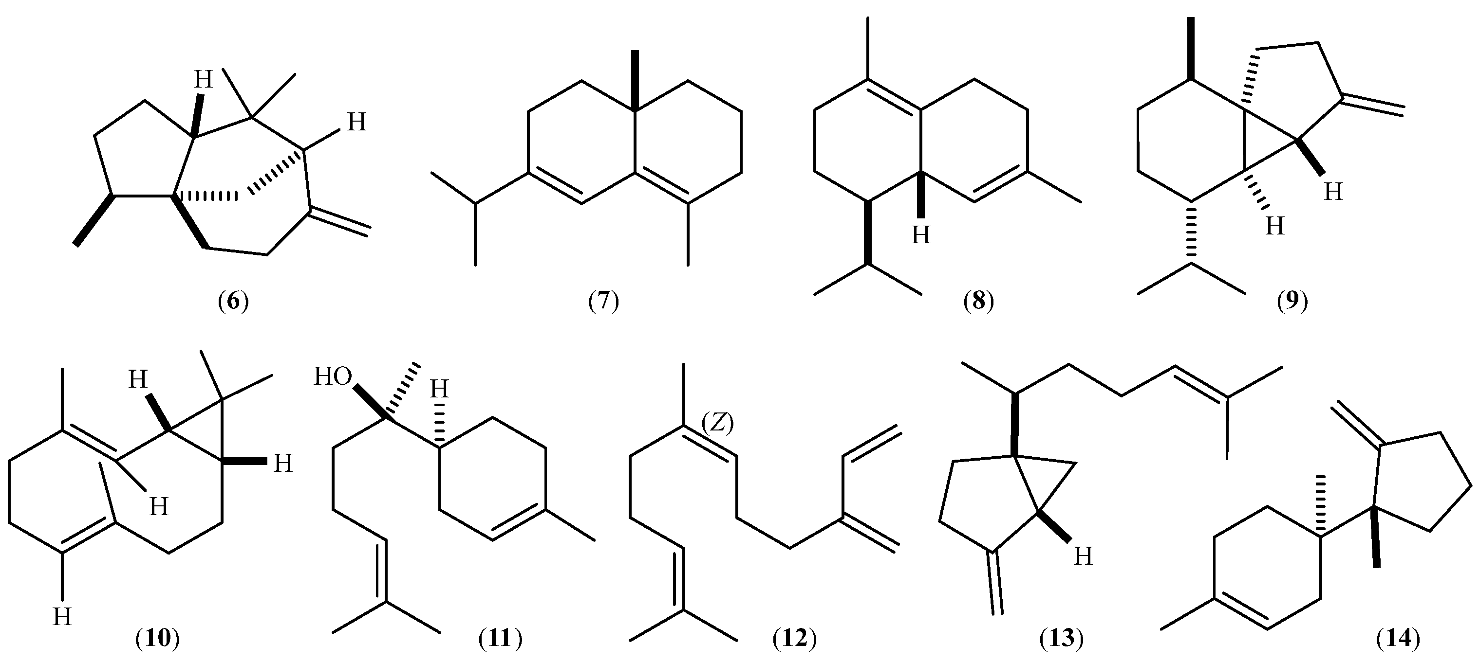 Plants 13 00253 g004