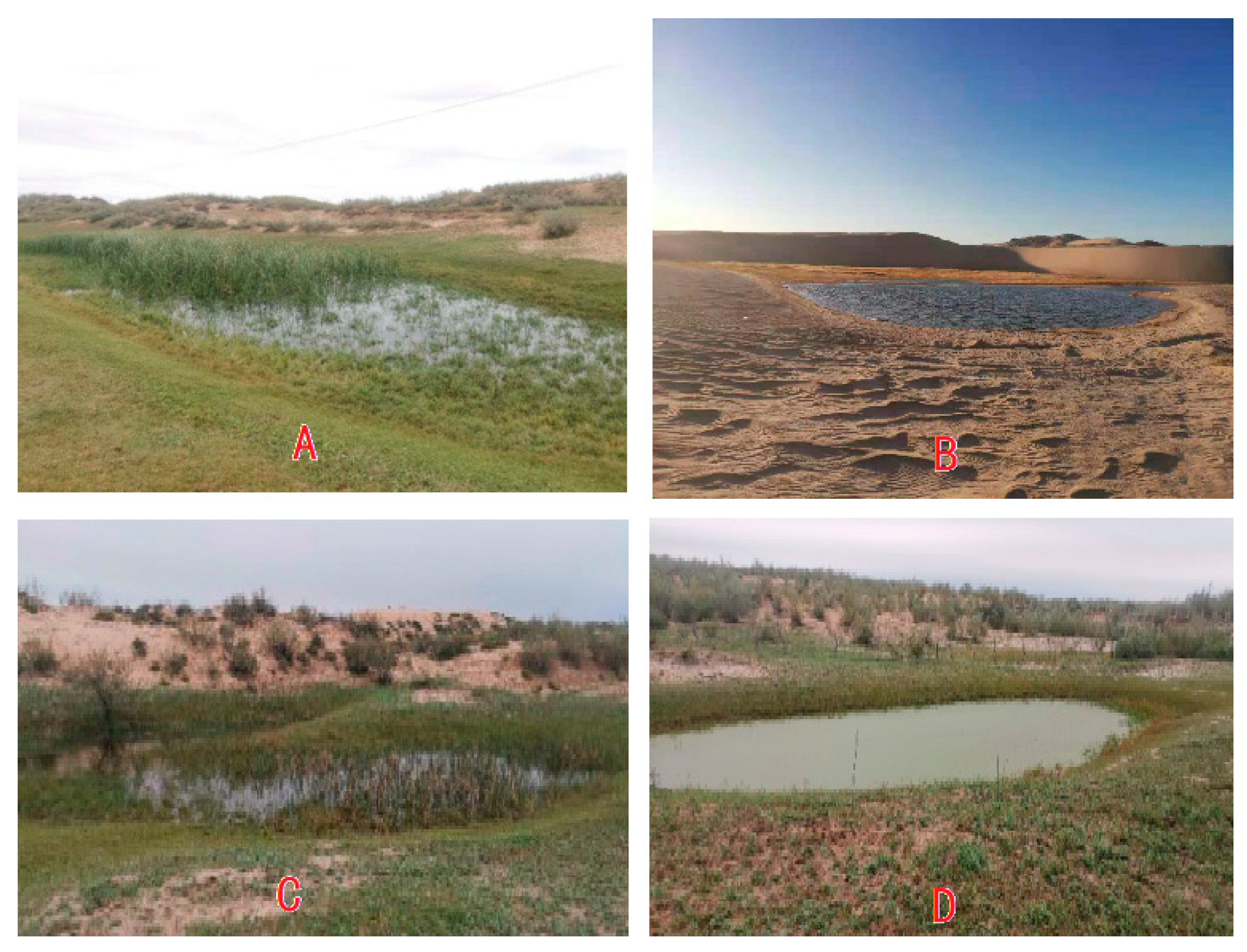 Plants 13 00255 g002