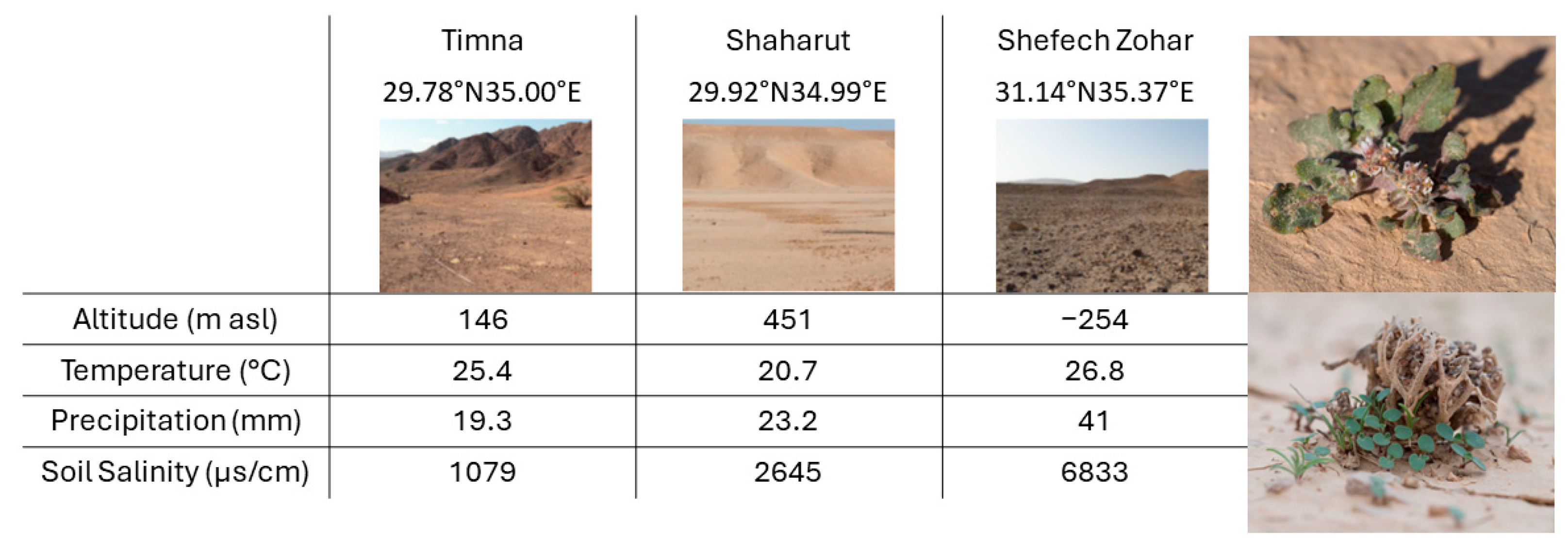 Plants 13 00256 g006